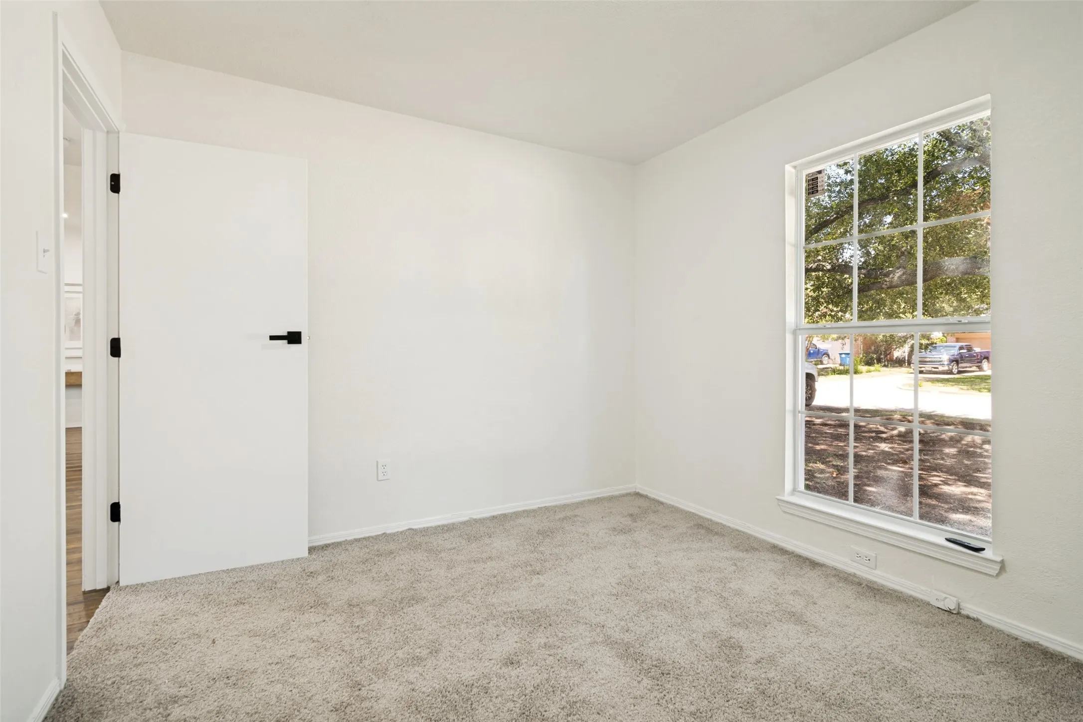 Plush carpeted flooring, a white interior door with black hardware, and a large multi-pane window