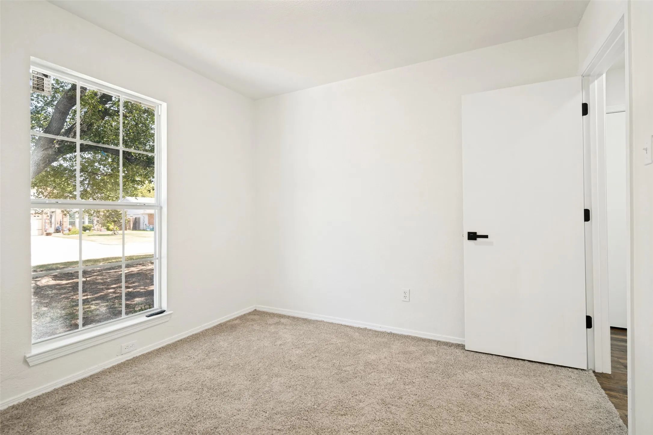 White interior walls with a grid-paned window, neutral-toned carpet flooring, and a flat-panel door with matte black hardware