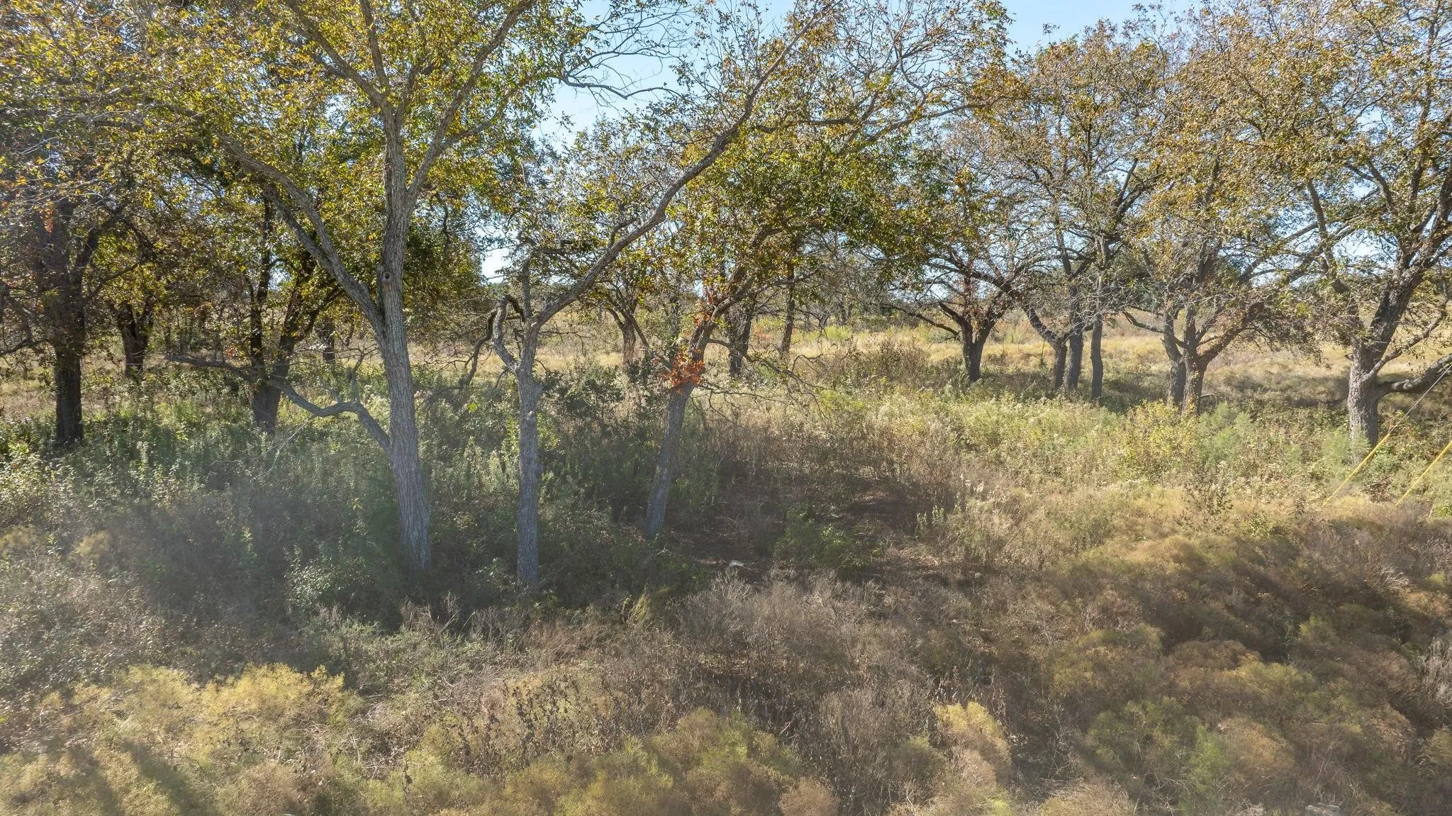 Unimproved Land For Sale in Comanche County , Lot 42 Pecan Valley Drive, Energy, Texas 76452, 0, 0, Garage spaces, 0 Sqft, built in 0, mls#21372266, Real Estate Agent in Energy, Homes For Sale in Comanche county, Homes For Sale in Energy, Realtor in Energy Texas, Real Estate Brokerage Independent Realty Texas, Luminita Cordes Realtor
