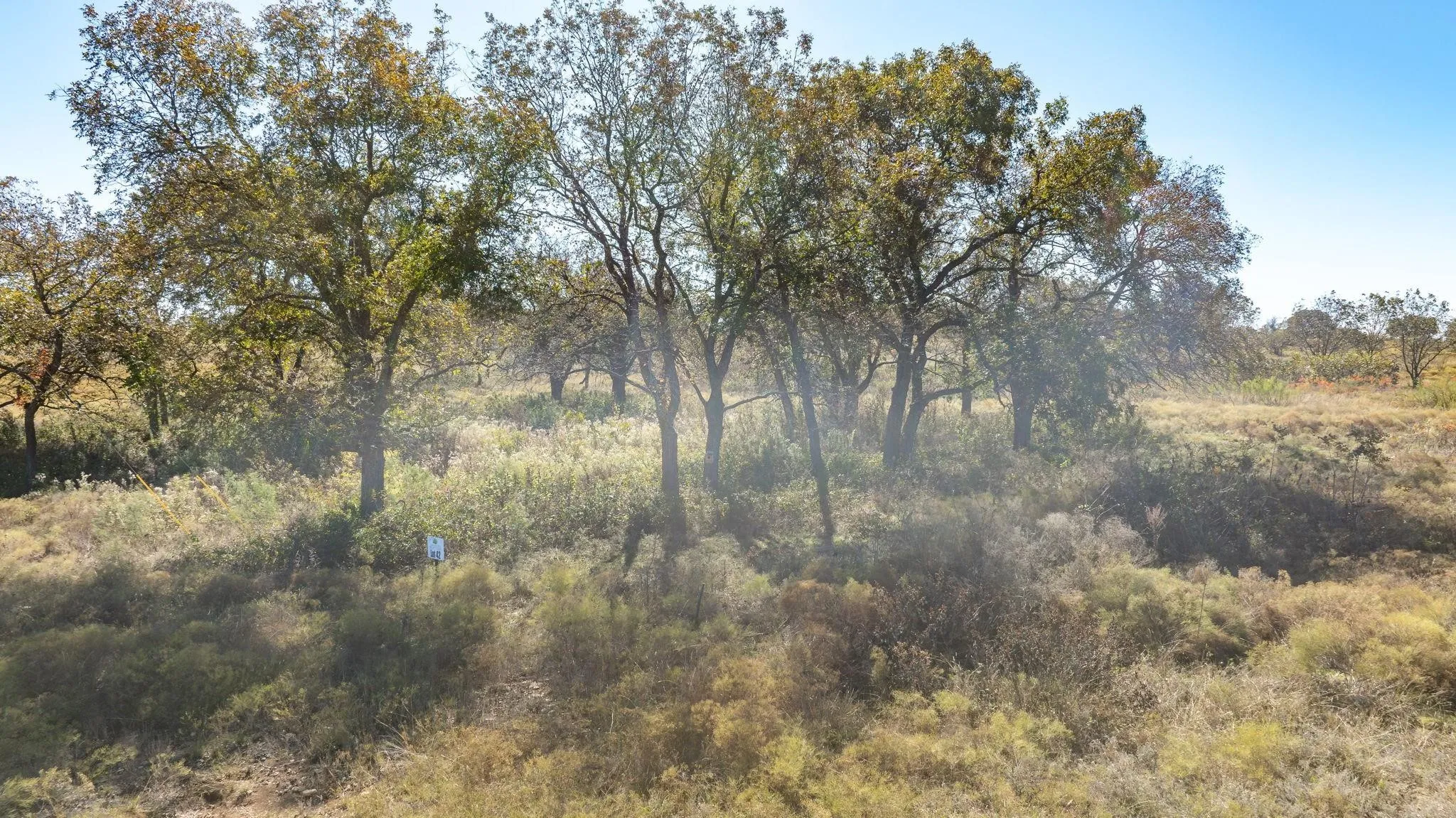 Unimproved Land For Sale in Comanche County , Lot 42 Pecan Valley Drive, Energy, Texas 76452, 0, 0, Garage spaces, 0 Sqft, built in 0, mls#21372266, Real Estate Agent in Energy, Homes For Sale in Comanche county, Homes For Sale in Energy, Realtor in Energy Texas, Real Estate Brokerage Independent Realty Texas, Luminita Cordes Realtor
