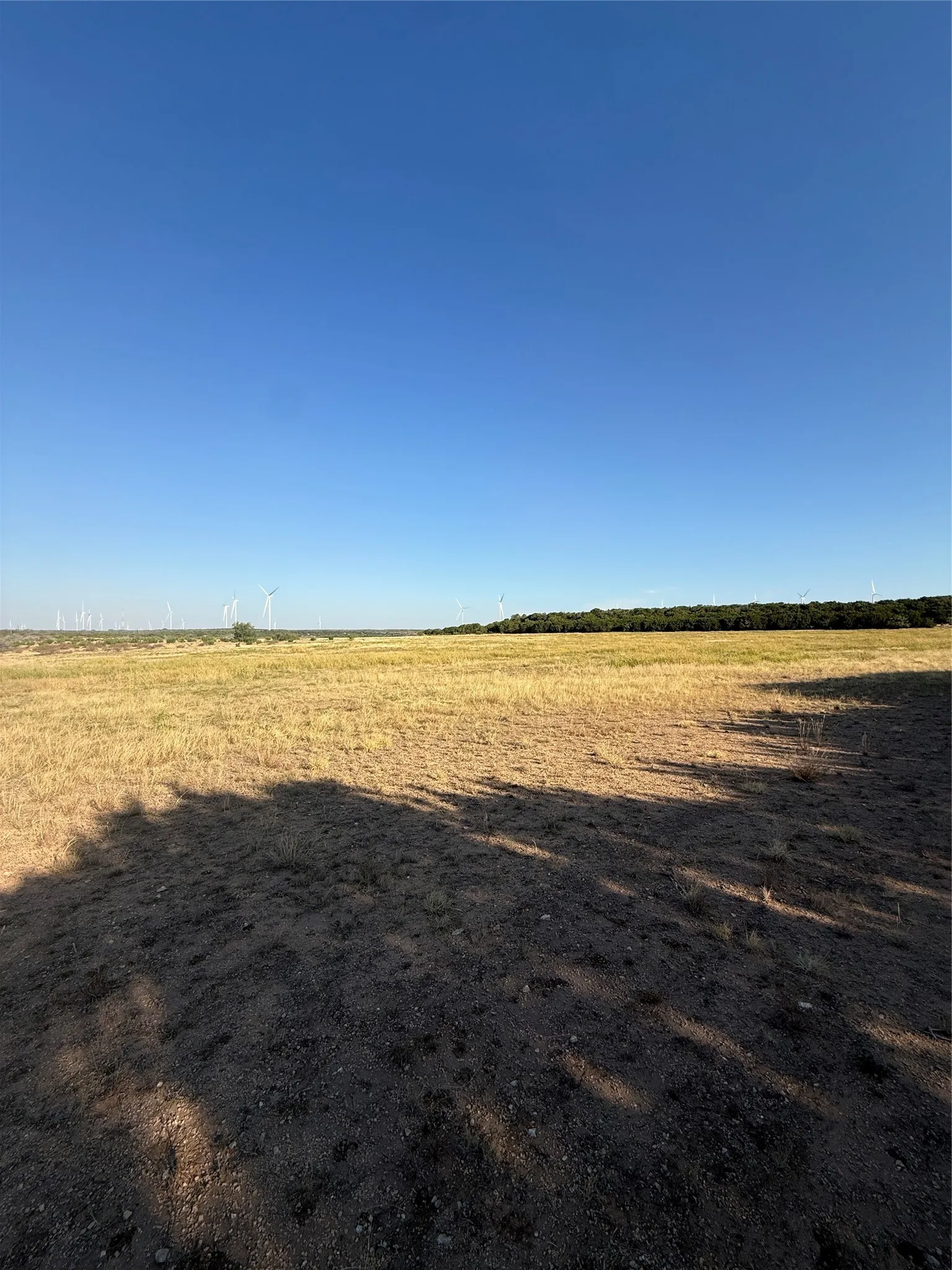 Unimproved Land For Sale in Taylor County , 2033 CR 351, Merkel, Texas 79536, 0, 0, Garage spaces, 0 Sqft, built in 0, mls#21372284, Real Estate Agent in Merkel, Homes For Sale in Taylor county, Homes For Sale in Merkel, Realtor in Merkel Texas, Real Estate Brokerage Independent Realty Texas, Luminita Cordes Realtor