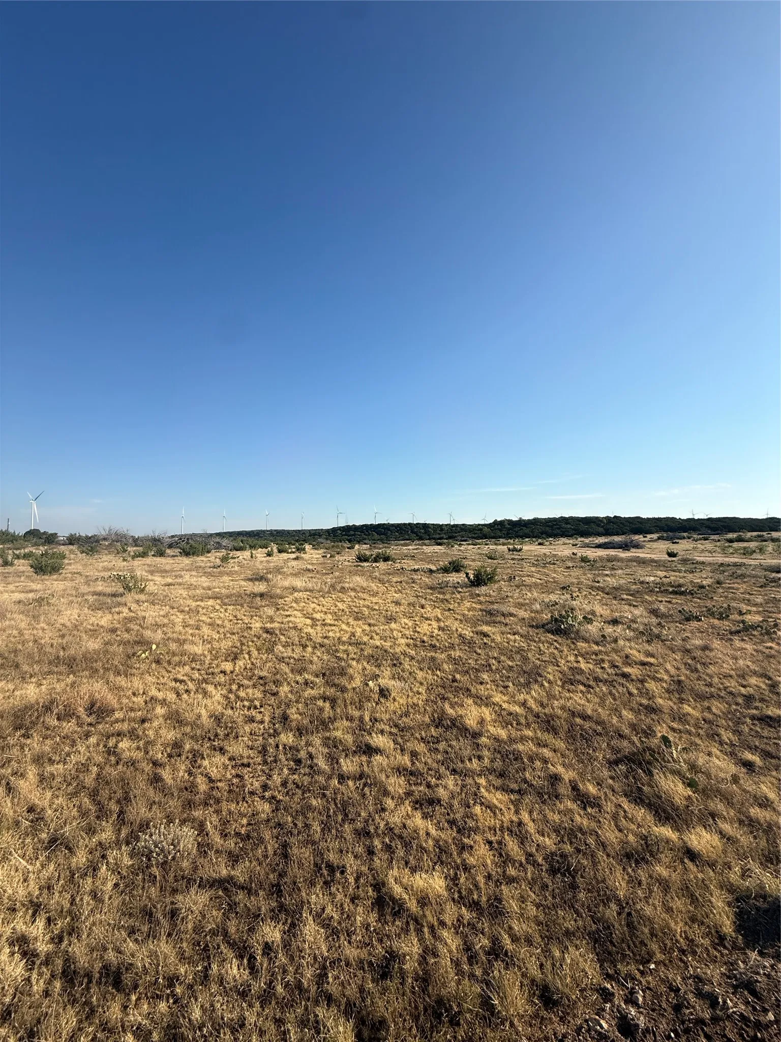 Unimproved Land For Sale in Taylor County , 2033 CR 351, Merkel, Texas 79536, 0, 0, Garage spaces, 0 Sqft, built in 0, mls#21372284, Real Estate Agent in Merkel, Homes For Sale in Taylor county, Homes For Sale in Merkel, Realtor in Merkel Texas, Real Estate Brokerage Independent Realty Texas, Luminita Cordes Realtor