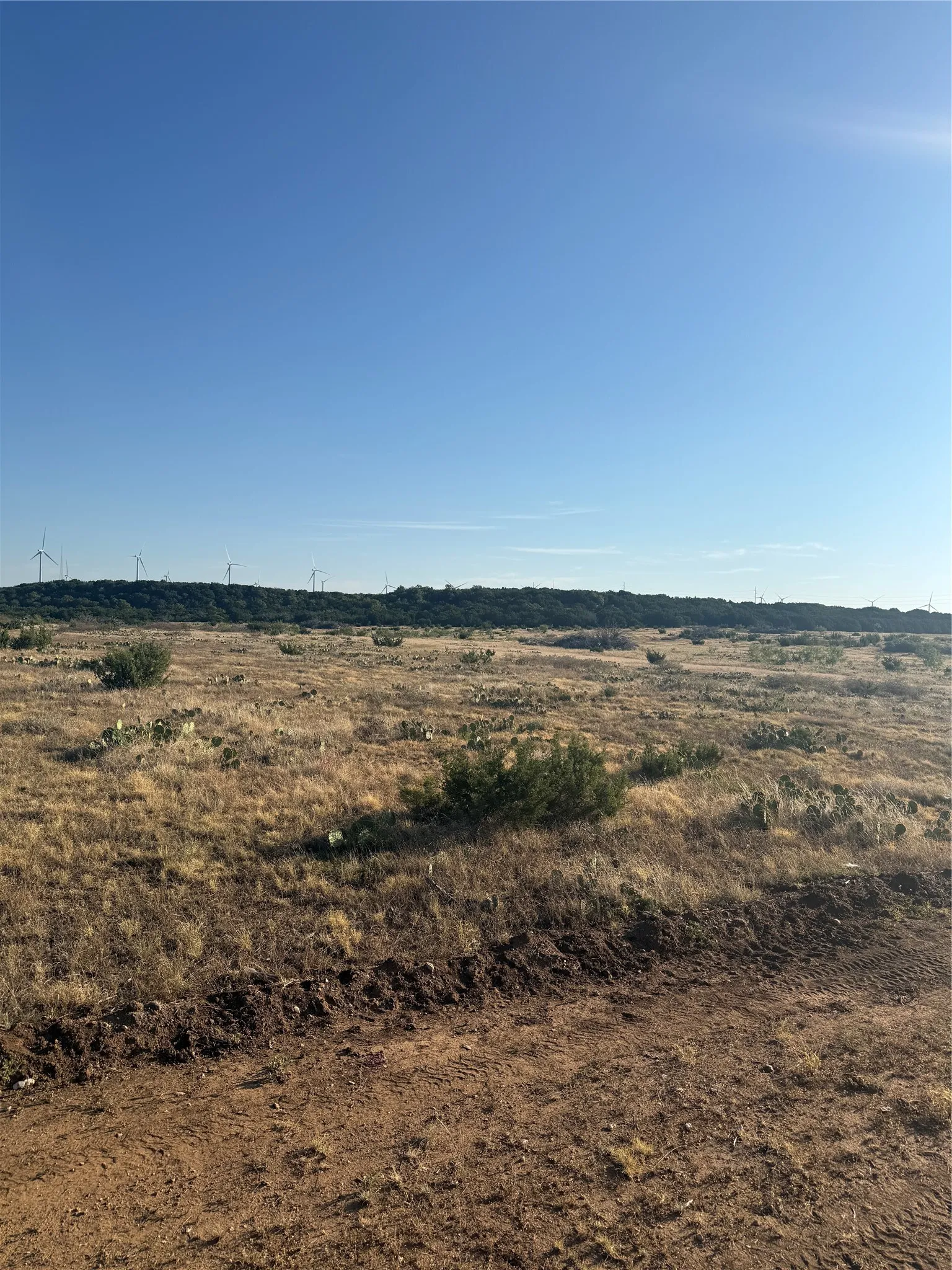 Unimproved Land For Sale in Taylor County , 2033 CR 351, Merkel, Texas 79536, 0, 0, Garage spaces, 0 Sqft, built in 0, mls#21372284, Real Estate Agent in Merkel, Homes For Sale in Taylor county, Homes For Sale in Merkel, Realtor in Merkel Texas, Real Estate Brokerage Independent Realty Texas, Luminita Cordes Realtor