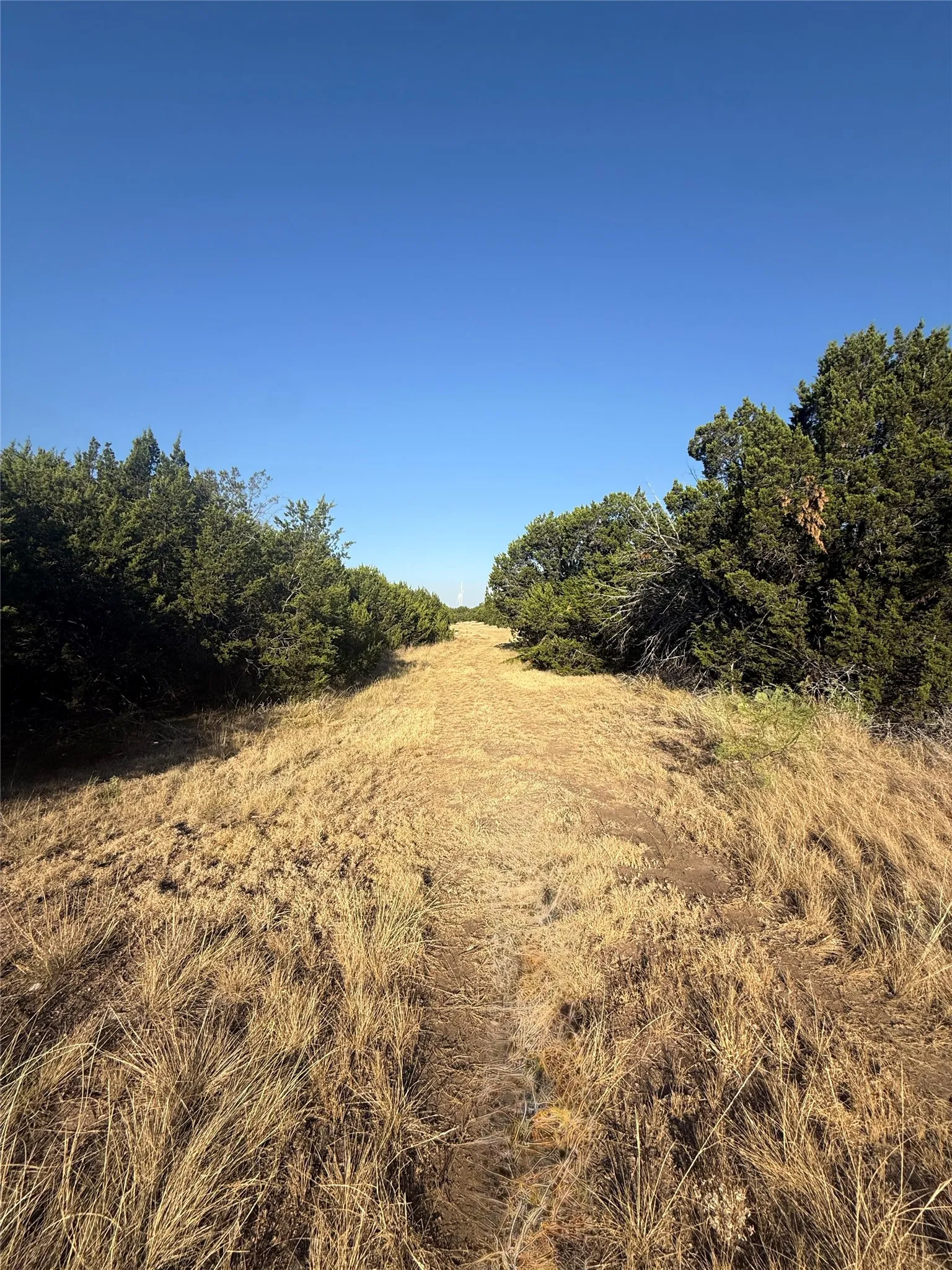 Unimproved Land For Sale in Taylor County , 2033 CR 351, Merkel, Texas 79536, 0, 0, Garage spaces, 0 Sqft, built in 0, mls#21372284, Real Estate Agent in Merkel, Homes For Sale in Taylor county, Homes For Sale in Merkel, Realtor in Merkel Texas, Real Estate Brokerage Independent Realty Texas, Luminita Cordes Realtor