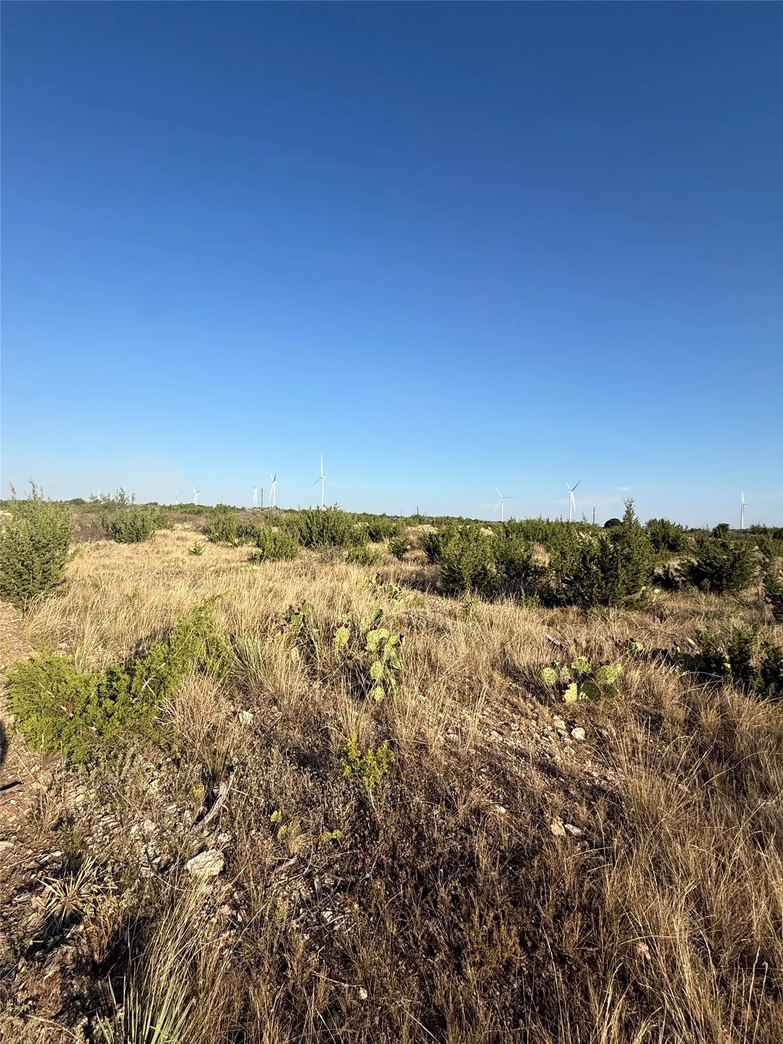 Unimproved Land For Sale in Taylor County , 2033 CR 351, Merkel, Texas 79536, 0, 0, Garage spaces, 0 Sqft, built in 0, mls#21372284, Real Estate Agent in Merkel, Homes For Sale in Taylor county, Homes For Sale in Merkel, Realtor in Merkel Texas, Real Estate Brokerage Independent Realty Texas, Luminita Cordes Realtor