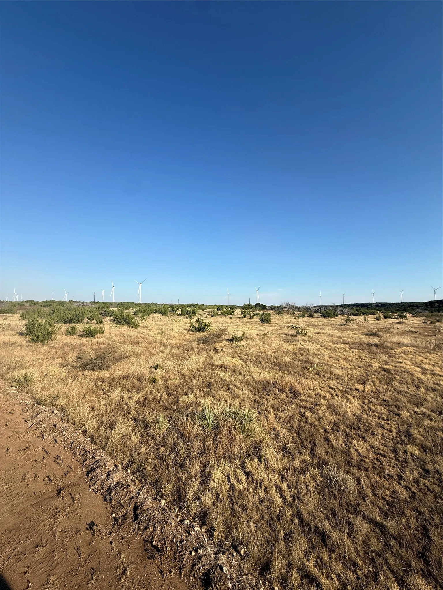 Unimproved Land For Sale in Taylor County , 2033 CR 351, Merkel, Texas 79536, 0, 0, Garage spaces, 0 Sqft, built in 0, mls#21372284, Real Estate Agent in Merkel, Homes For Sale in Taylor county, Homes For Sale in Merkel, Realtor in Merkel Texas, Real Estate Brokerage Independent Realty Texas, Luminita Cordes Realtor