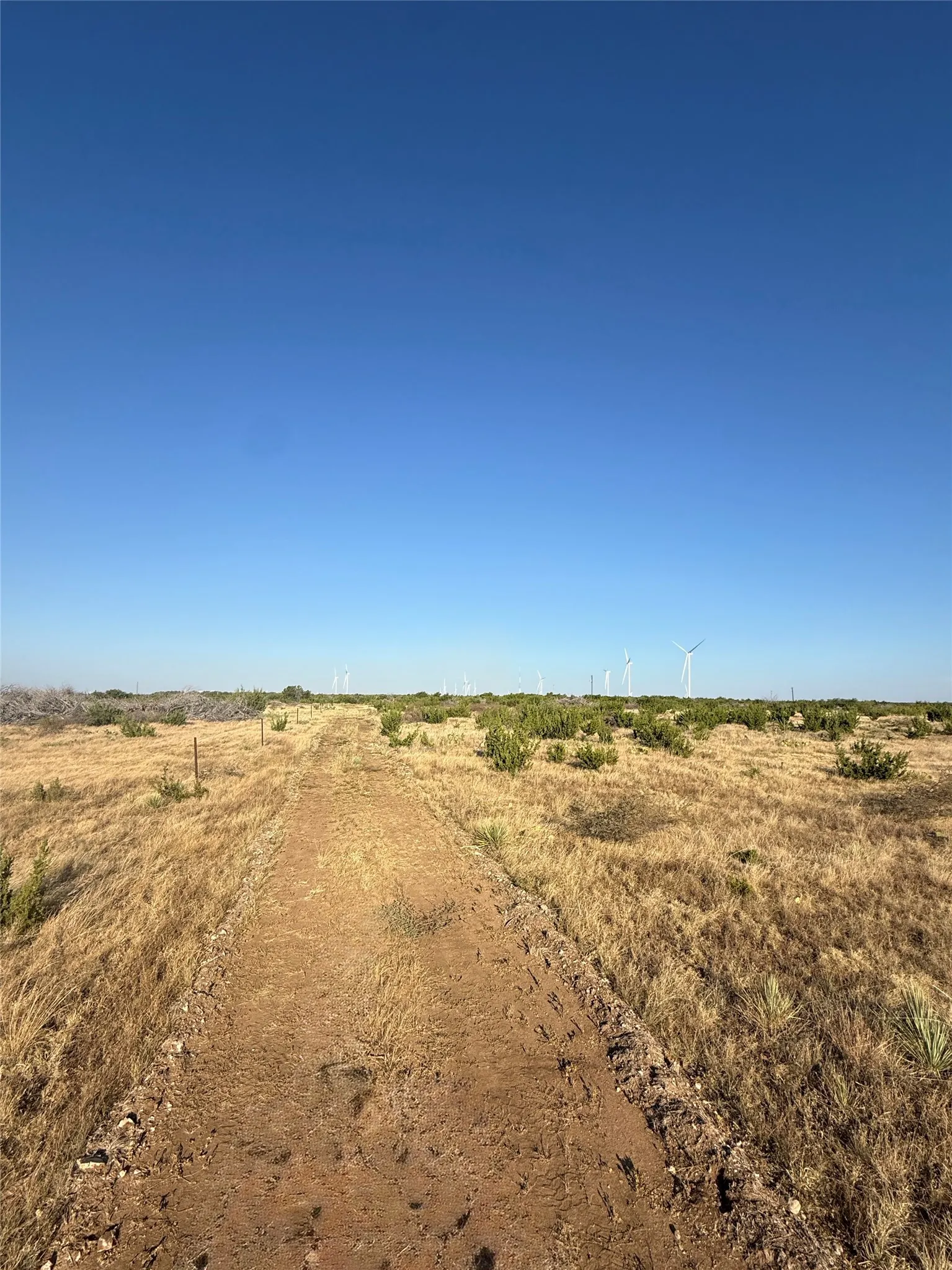Unimproved Land For Sale in Taylor County , 2033 CR 351, Merkel, Texas 79536, 0, 0, Garage spaces, 0 Sqft, built in 0, mls#21372284, Real Estate Agent in Merkel, Homes For Sale in Taylor county, Homes For Sale in Merkel, Realtor in Merkel Texas, Real Estate Brokerage Independent Realty Texas, Luminita Cordes Realtor