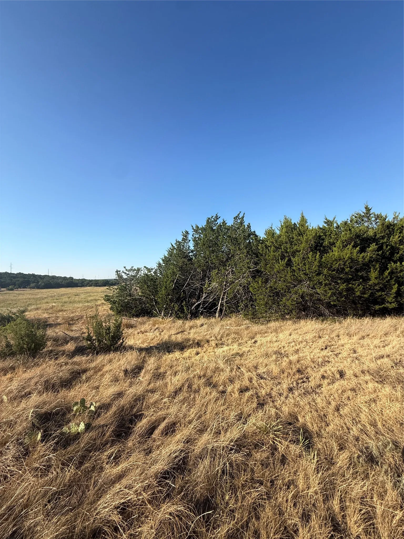 Unimproved Land For Sale in Taylor County , 2033 CR 351, Merkel, Texas 79536, 0, 0, Garage spaces, 0 Sqft, built in 0, mls#21372284, Real Estate Agent in Merkel, Homes For Sale in Taylor county, Homes For Sale in Merkel, Realtor in Merkel Texas, Real Estate Brokerage Independent Realty Texas, Luminita Cordes Realtor