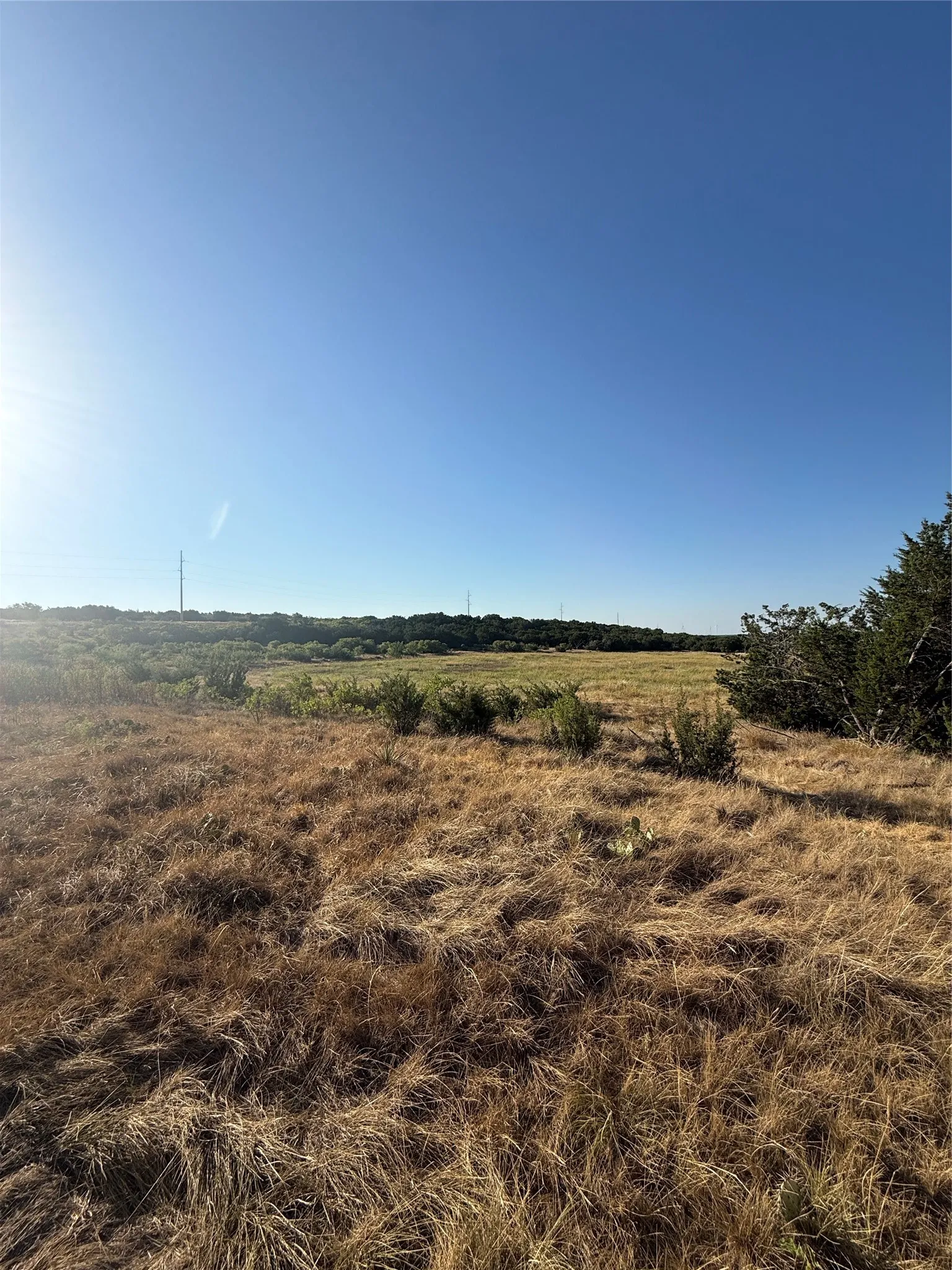Unimproved Land For Sale in Taylor County , 2033 CR 351, Merkel, Texas 79536, 0, 0, Garage spaces, 0 Sqft, built in 0, mls#21372284, Real Estate Agent in Merkel, Homes For Sale in Taylor county, Homes For Sale in Merkel, Realtor in Merkel Texas, Real Estate Brokerage Independent Realty Texas, Luminita Cordes Realtor