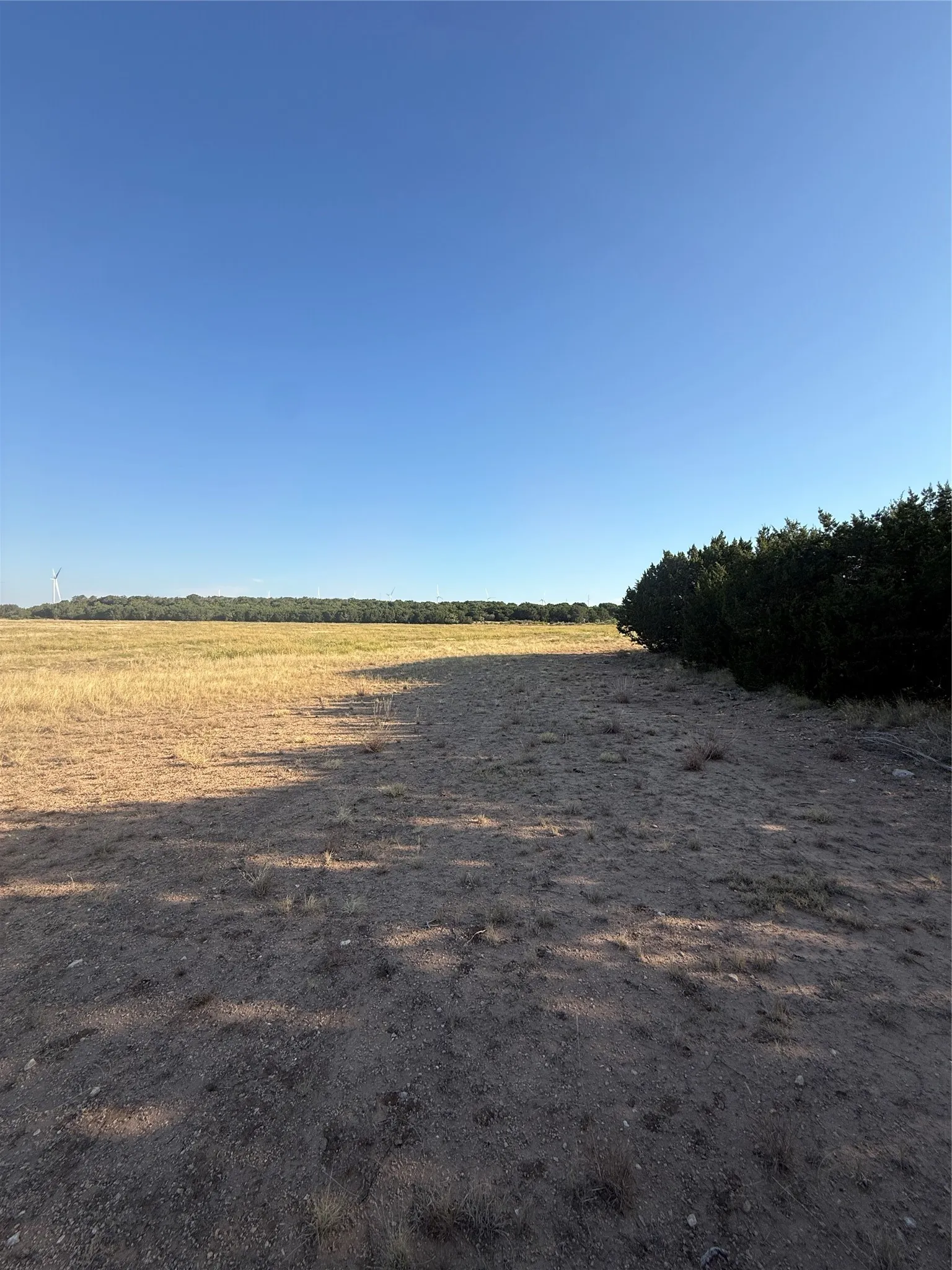 Unimproved Land For Sale in Taylor County , 2033 CR 351, Merkel, Texas 79536, 0, 0, Garage spaces, 0 Sqft, built in 0, mls#21372284, Real Estate Agent in Merkel, Homes For Sale in Taylor county, Homes For Sale in Merkel, Realtor in Merkel Texas, Real Estate Brokerage Independent Realty Texas, Luminita Cordes Realtor