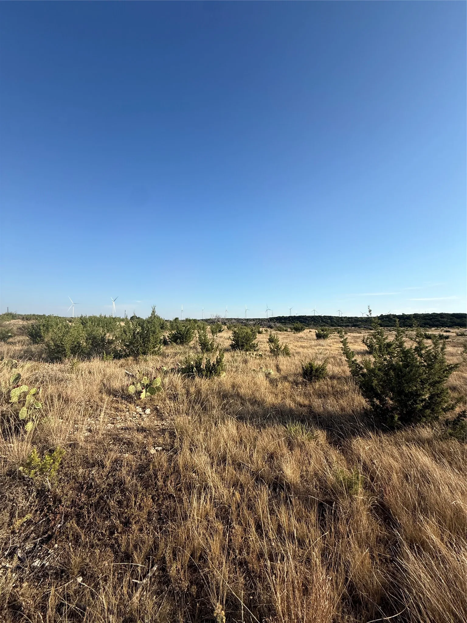 Unimproved Land For Sale in Taylor County , 2033 CR 351, Merkel, Texas 79536, 0, 0, Garage spaces, 0 Sqft, built in 0, mls#21372284, Real Estate Agent in Merkel, Homes For Sale in Taylor county, Homes For Sale in Merkel, Realtor in Merkel Texas, Real Estate Brokerage Independent Realty Texas, Luminita Cordes Realtor