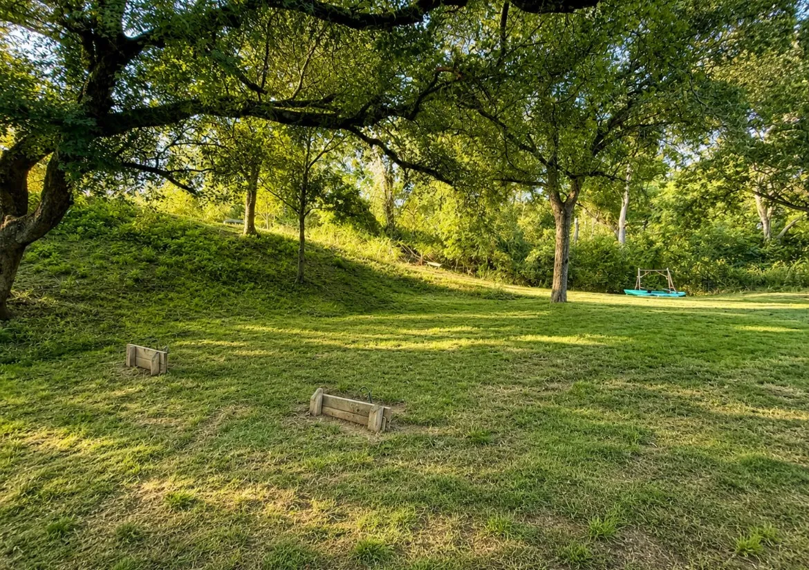 Expansive lawn area with mature trees and a sloped, natural landscape
