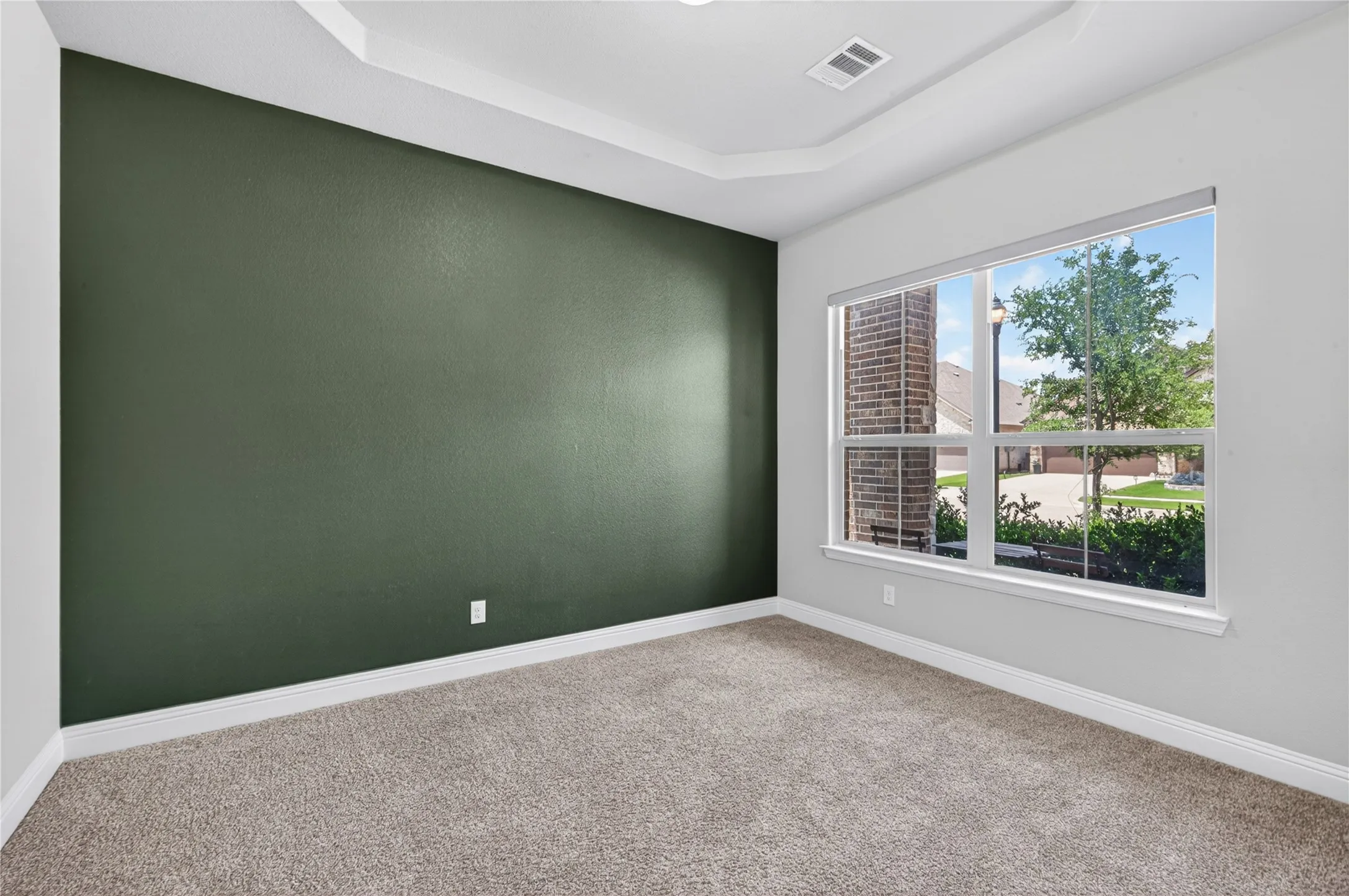 Tray ceiling detail, expansive window, neutral carpet, and accent wall