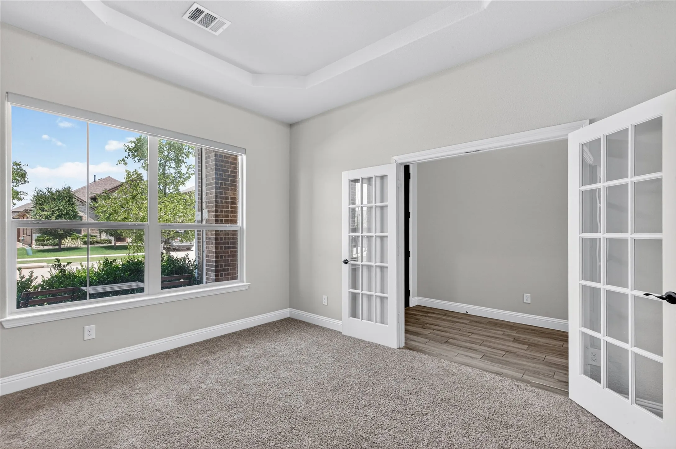 Tray ceiling detail, large multi-pane window, carpeted flooring, French doors, and wood-finish flooring