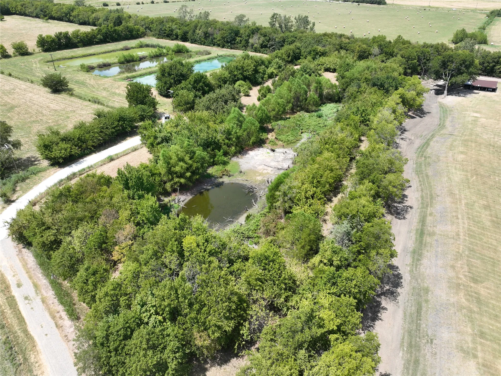 Unimproved Land For Sale in Lamar County , TBD COUNTY ROAD 26701, Petty, Texas 75470, 0, 0, Garage spaces, 0 Sqft, built in 0, mls#21371812, Real Estate Agent in Petty, Homes For Sale in Lamar county, Homes For Sale in Petty, Realtor in Petty Texas, Real Estate Brokerage Independent Realty Texas, Luminita Cordes Realtor