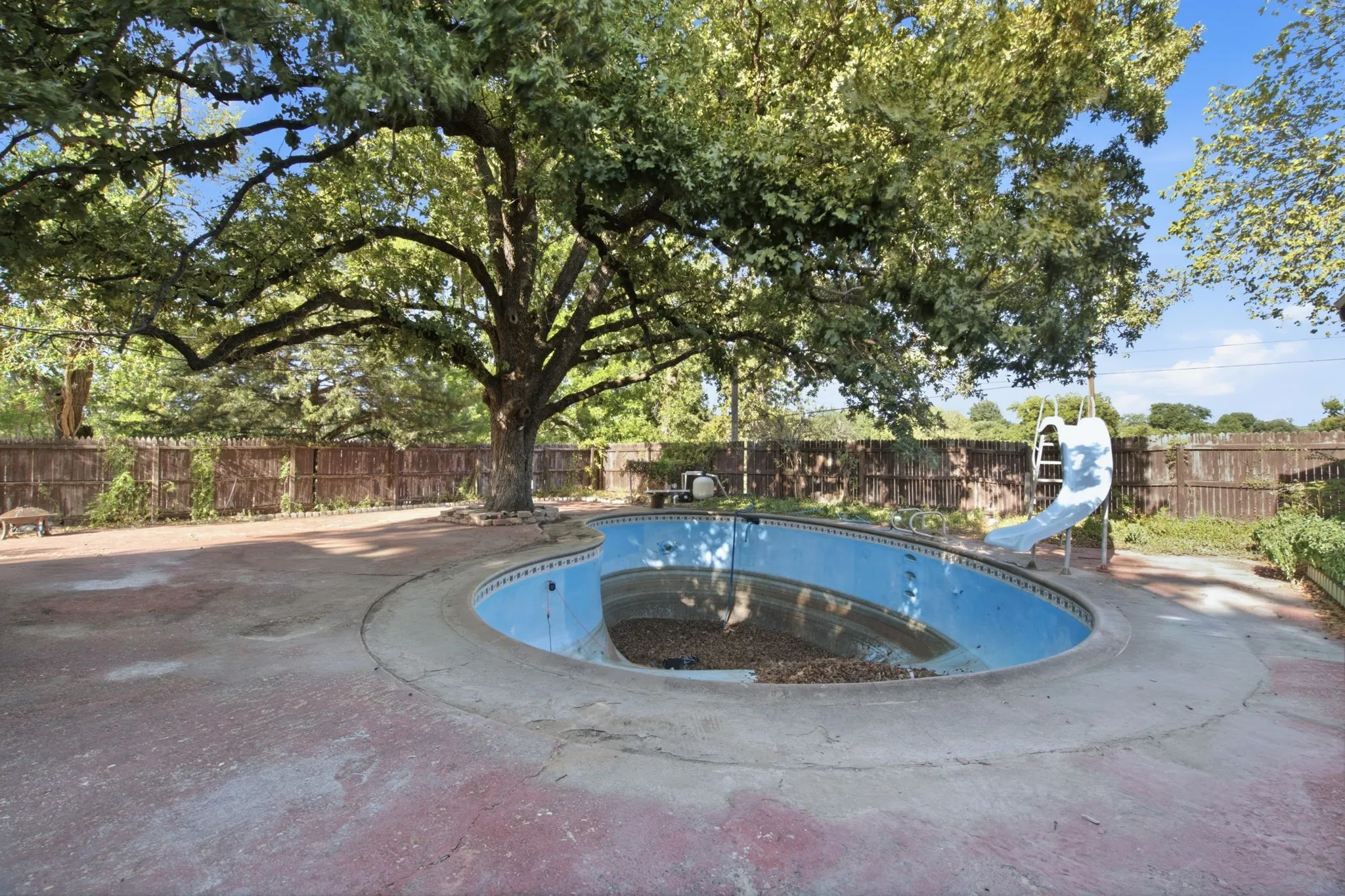 In-ground swimming pool with surrounding concrete decking, mature shade tree, and wood privacy fencing