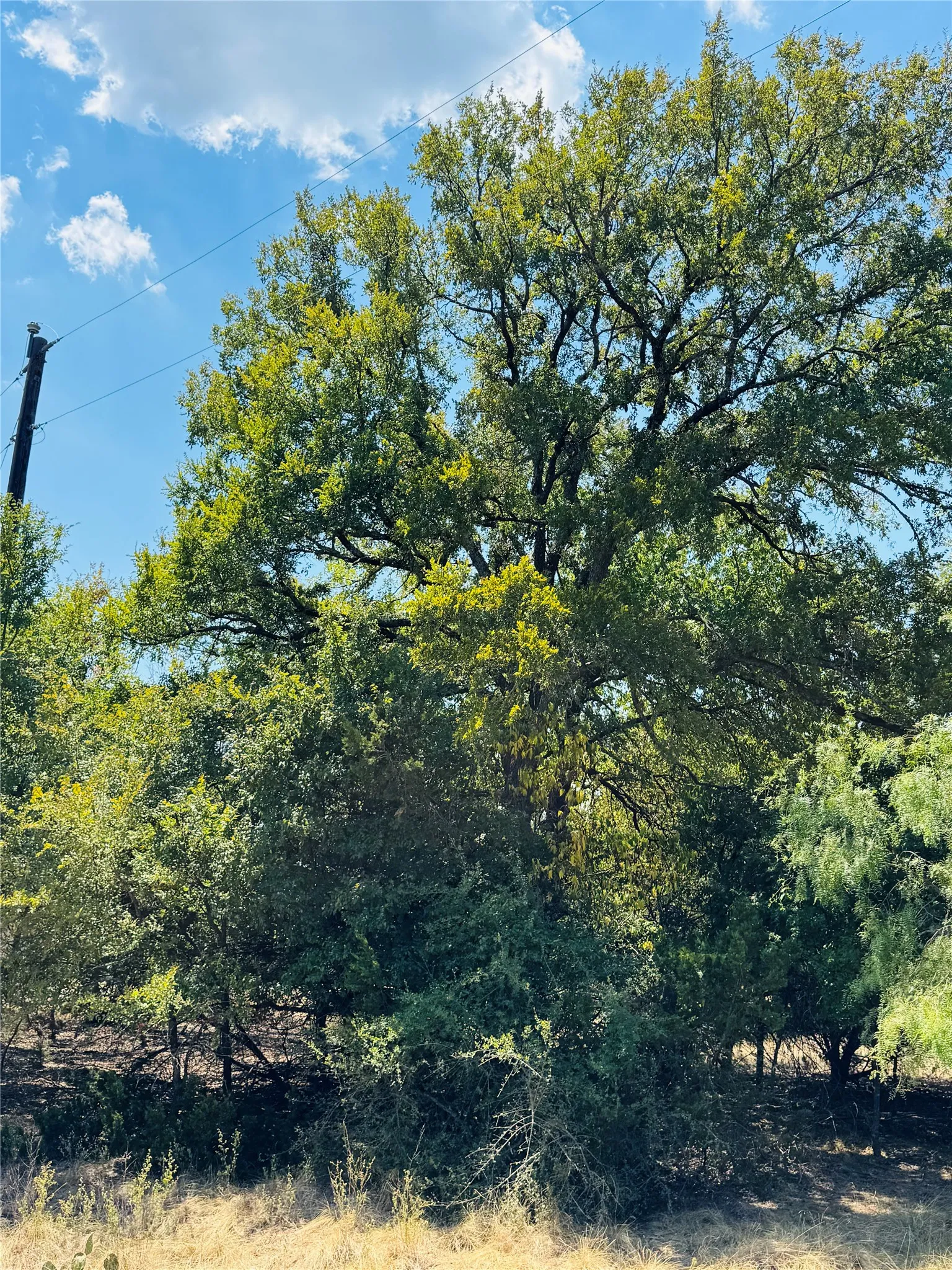 Unimproved Land For Sale in Hill County , 14057 Sandy Oaks Drive, Whitney, Texas 76692, 0, 0, Garage spaces, 0 Sqft, built in 0, mls#21371268, Real Estate Agent in Whitney, Homes For Sale in Hill county, Homes For Sale in Whitney, Realtor in Whitney Texas, Real Estate Brokerage Independent Realty Texas, Luminita Cordes Realtor