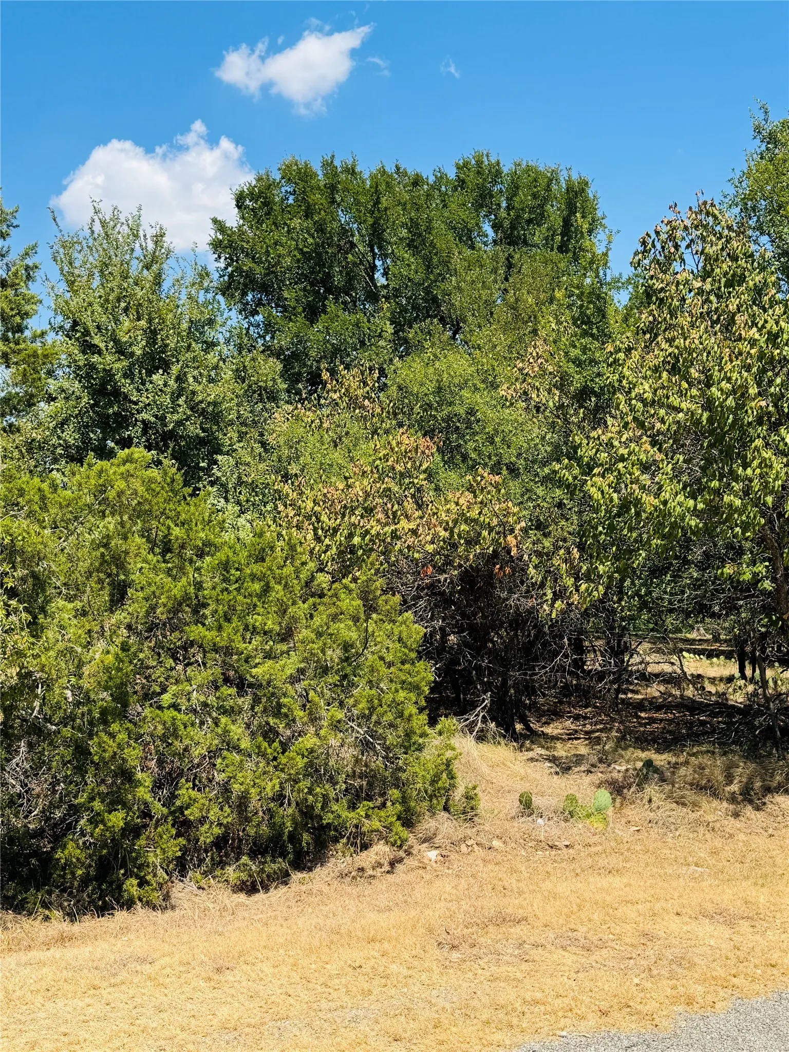Unimproved Land For Sale in Hill County , 14057 Sandy Oaks Drive, Whitney, Texas 76692, 0, 0, Garage spaces, 0 Sqft, built in 0, mls#21371268, Real Estate Agent in Whitney, Homes For Sale in Hill county, Homes For Sale in Whitney, Realtor in Whitney Texas, Real Estate Brokerage Independent Realty Texas, Luminita Cordes Realtor