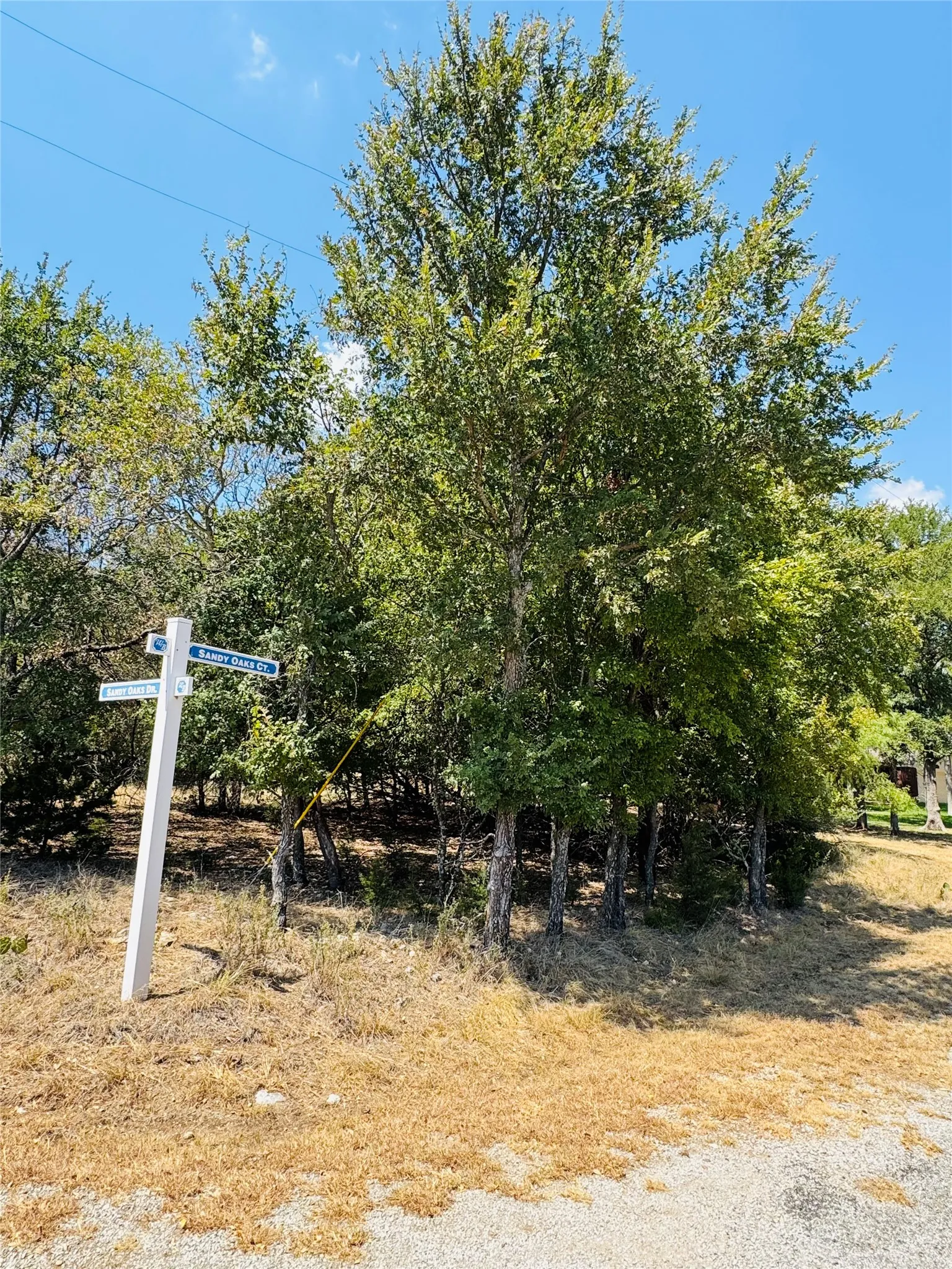 Unimproved Land For Sale in Hill County , 14057 Sandy Oaks Drive, Whitney, Texas 76692, 0, 0, Garage spaces, 0 Sqft, built in 0, mls#21371268, Real Estate Agent in Whitney, Homes For Sale in Hill county, Homes For Sale in Whitney, Realtor in Whitney Texas, Real Estate Brokerage Independent Realty Texas, Luminita Cordes Realtor
