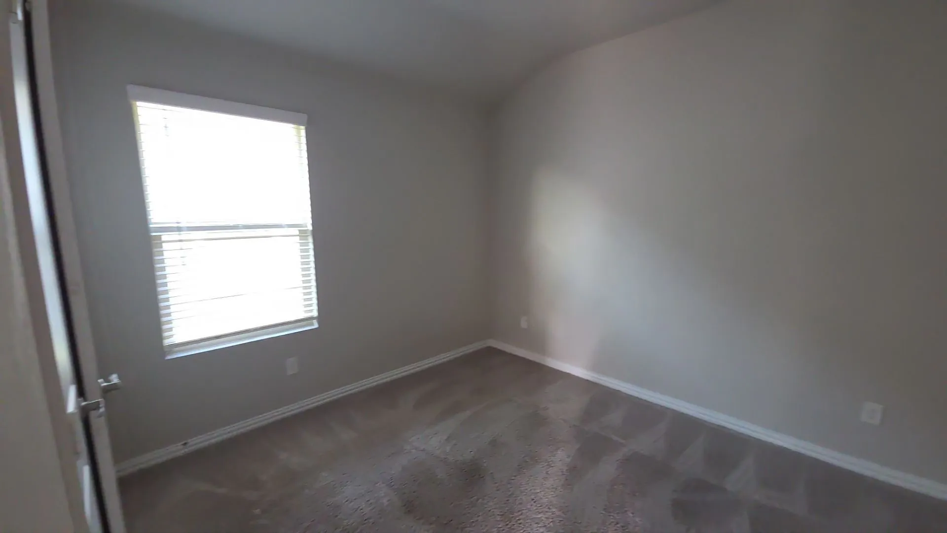 Neutral tone wall paint, window with horizontal blinds, and plush carpet flooring
