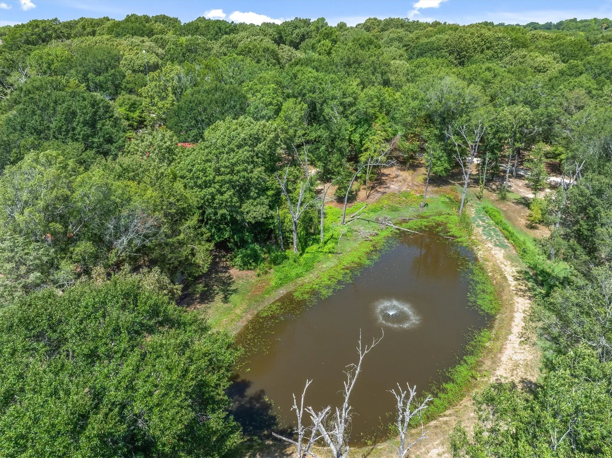 Business For Sale in Van Zandt County , 4315 VZ County Road 1117, Edgewood, Texas 75117, 0, 0, Garage spaces, 0 Sqft, built in 2025, mls#21372363, Real Estate Agent in Edgewood, Homes For Sale in Van Zandt county, Homes For Sale in Edgewood, Realtor in Edgewood Texas, Real Estate Brokerage Independent Realty Texas, Luminita Cordes Realtor