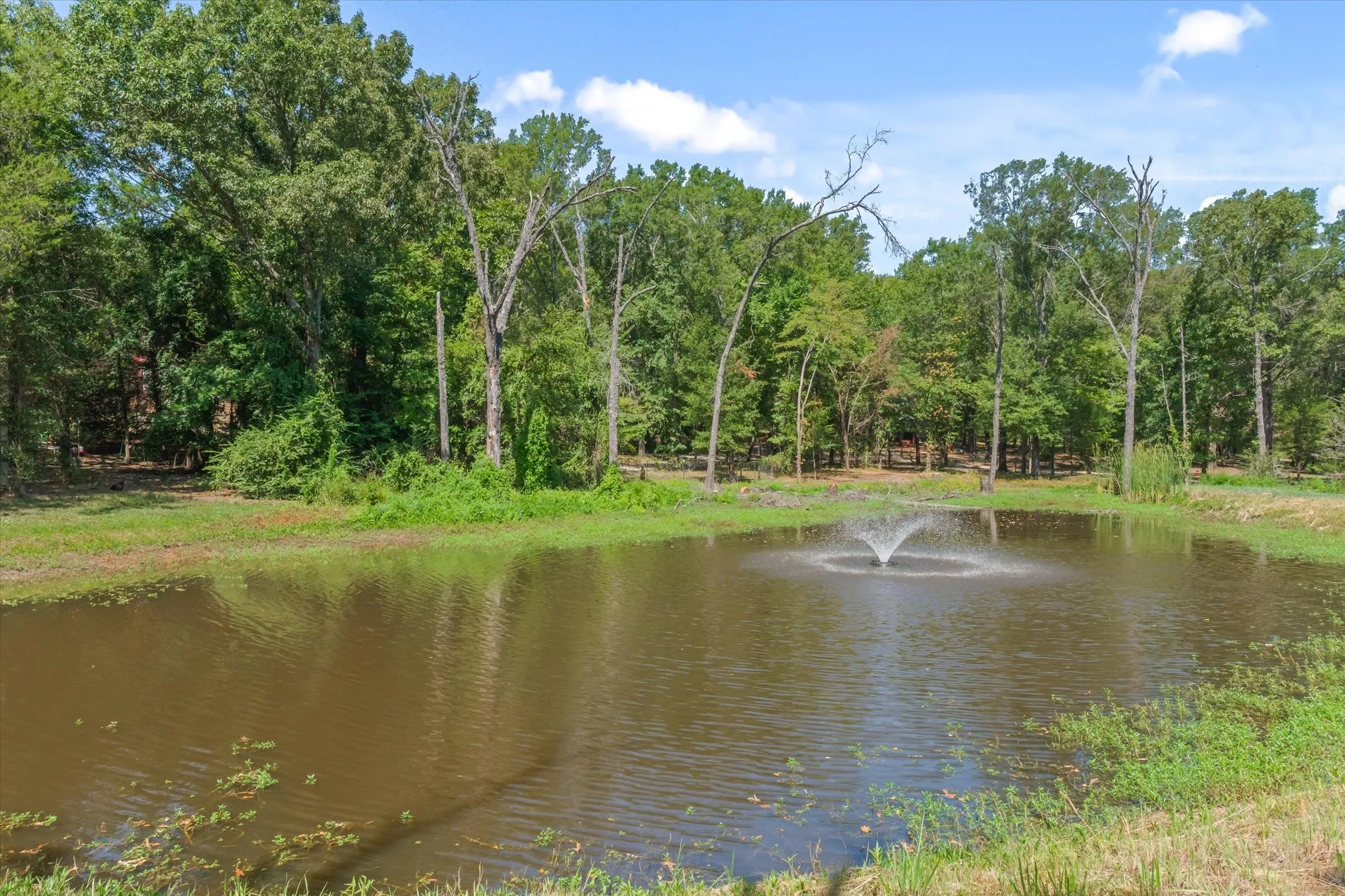 Business For Sale in Van Zandt County , 4315 VZ County Road 1117, Edgewood, Texas 75117, 0, 0, Garage spaces, 0 Sqft, built in 2025, mls#21372363, Real Estate Agent in Edgewood, Homes For Sale in Van Zandt county, Homes For Sale in Edgewood, Realtor in Edgewood Texas, Real Estate Brokerage Independent Realty Texas, Luminita Cordes Realtor