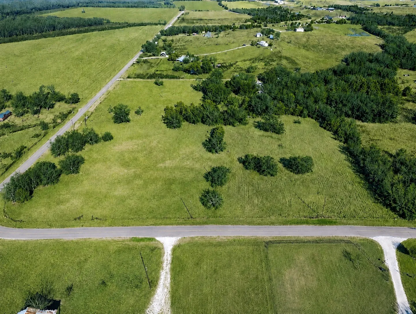 Expansive green land with scattered trees and a paved roadway