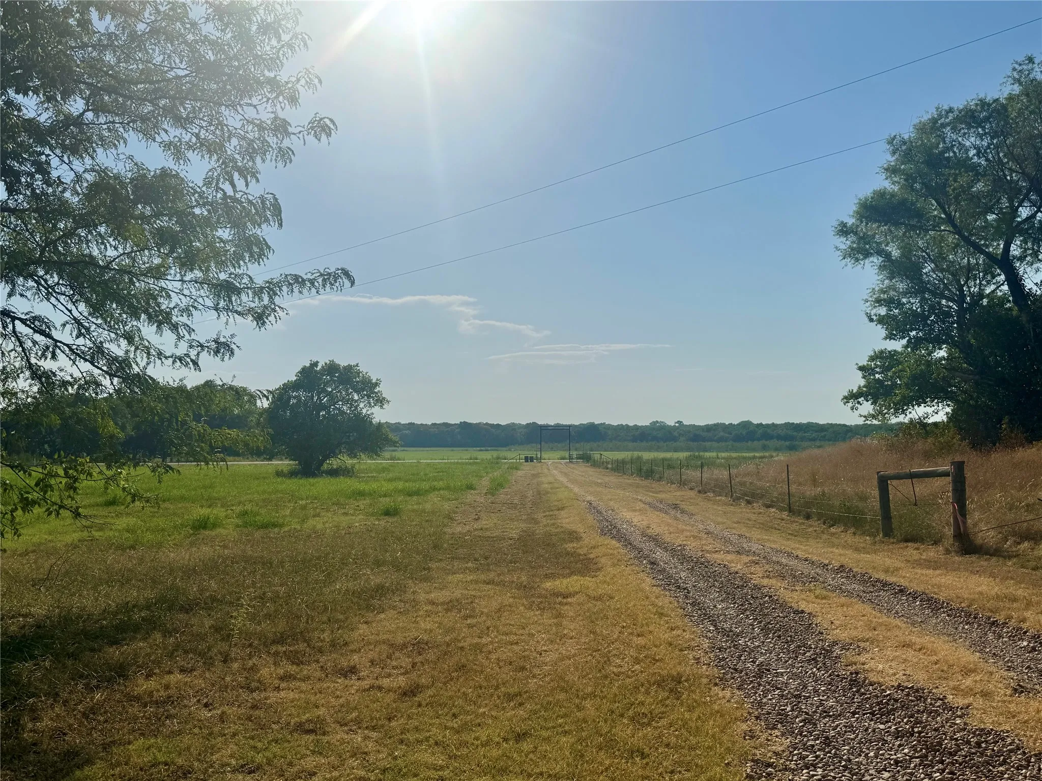 Gravel drive leading to expansive acreage, featuring mature trees and open fields