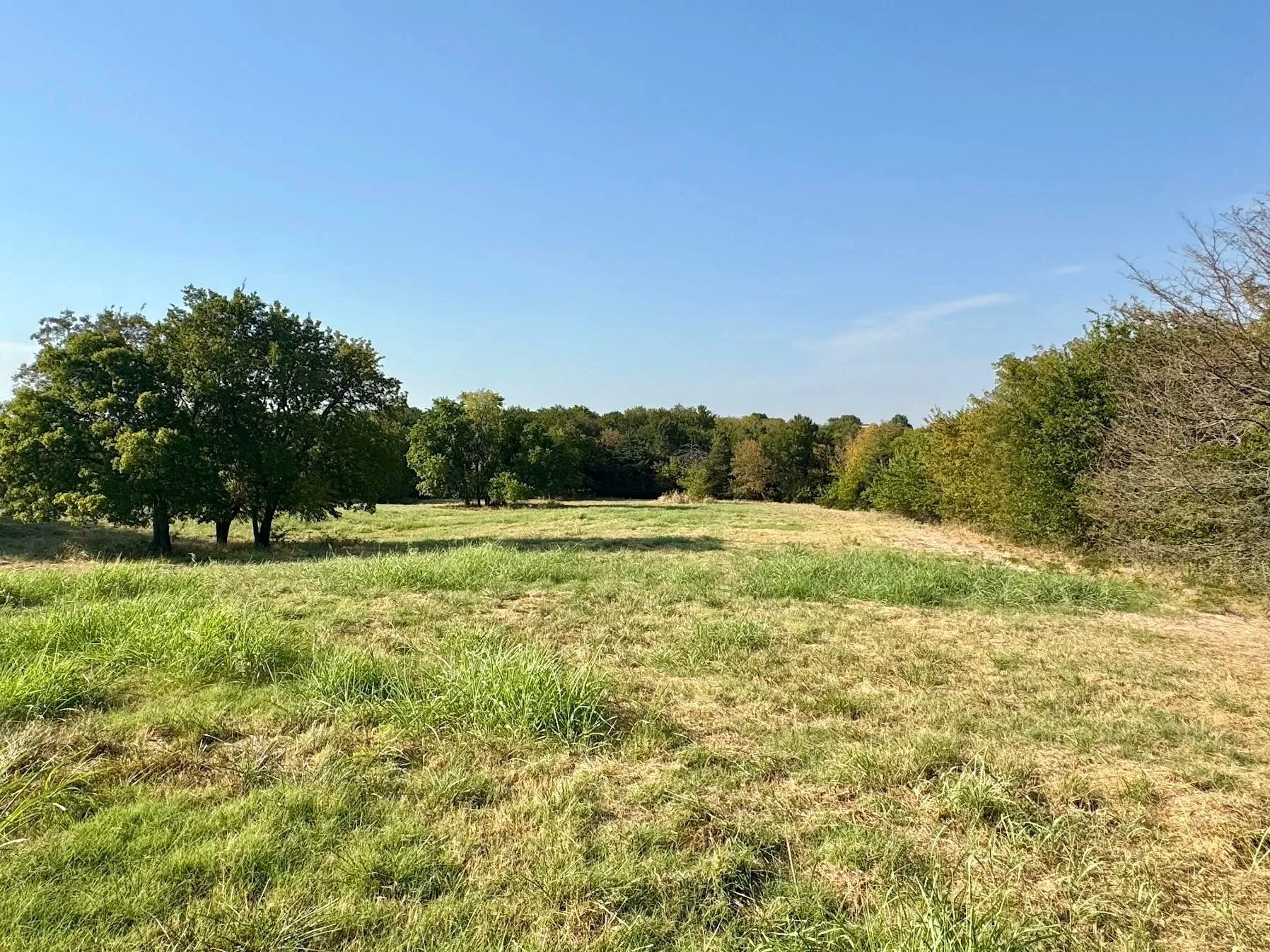 Expansive grassy field with mature trees providing shade