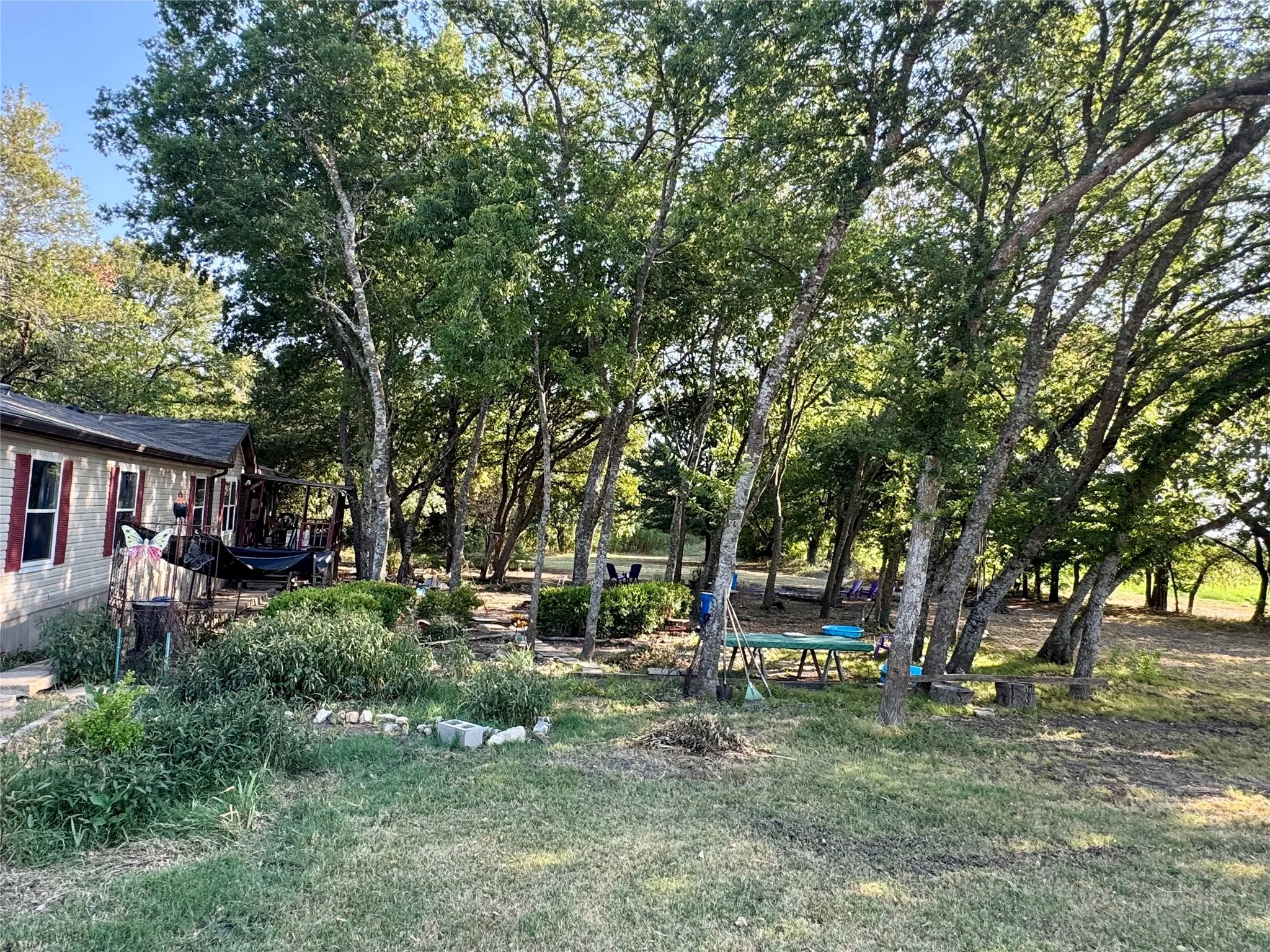 Expansive yard featuring mature trees, a manicured lawn, and a dwelling with siding and red window shutters