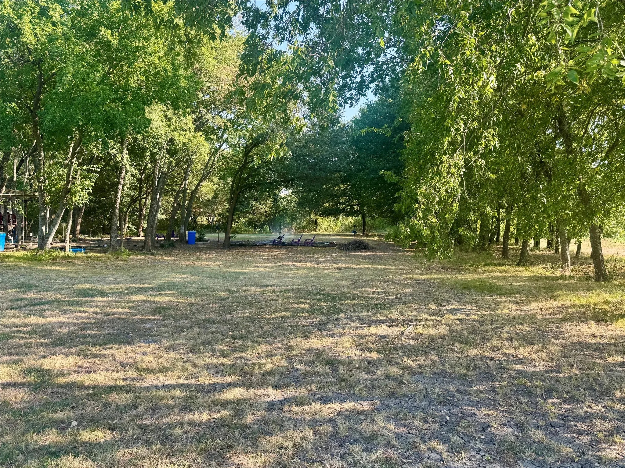 Expansive grassy area surrounded by mature trees