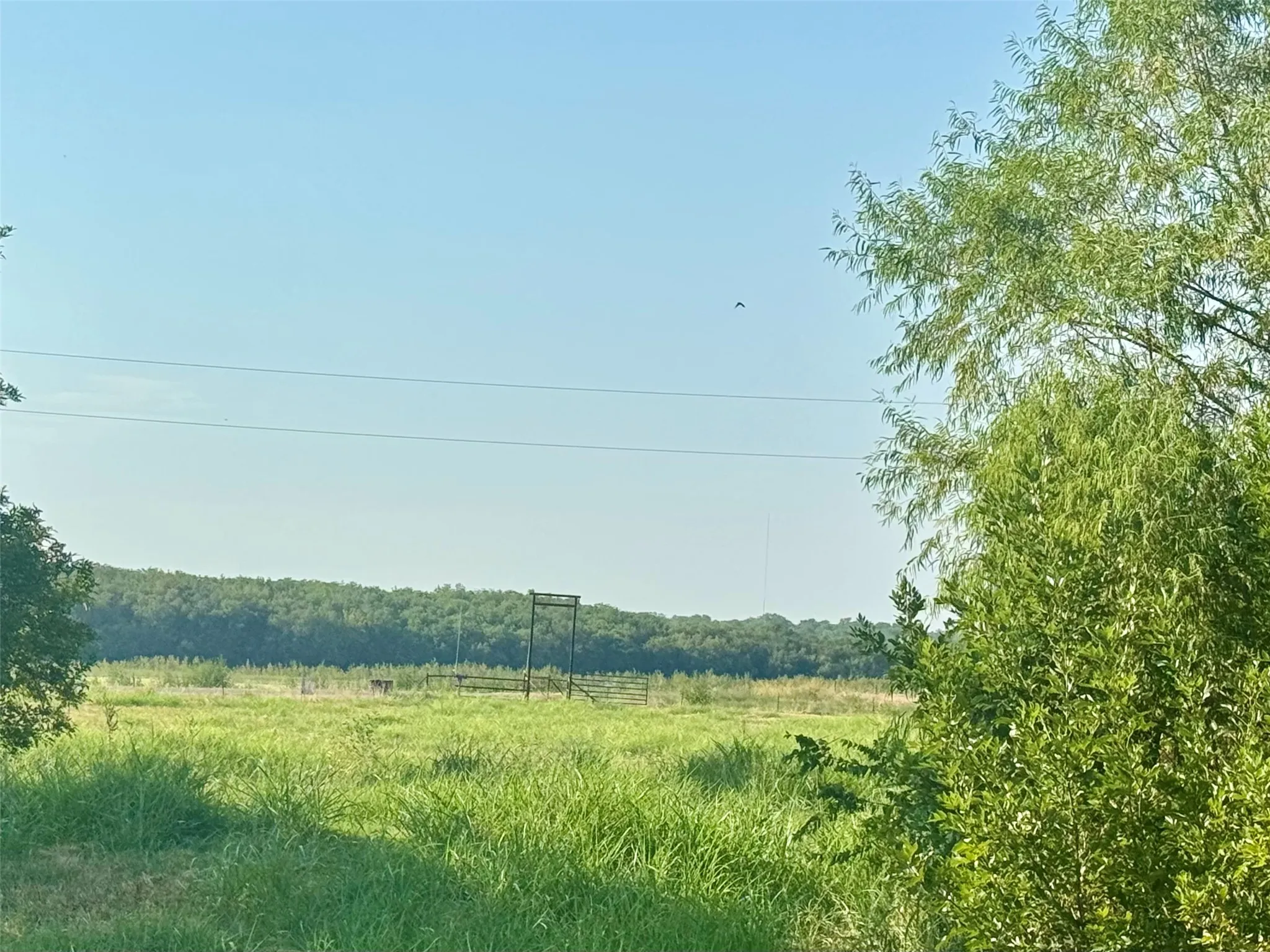 Improved Land For Sale in Collin County , 6100 CR 662, Farmersville, Texas 75442, 0, 0, Garage spaces, 0 Sqft, built in 1997, mls#21371930, Real Estate Agent in Farmersville, Homes For Sale in Collin county, Homes For Sale in Farmersville, Realtor in Farmersville Texas, Real Estate Brokerage Independent Realty Texas, Luminita Cordes Realtor