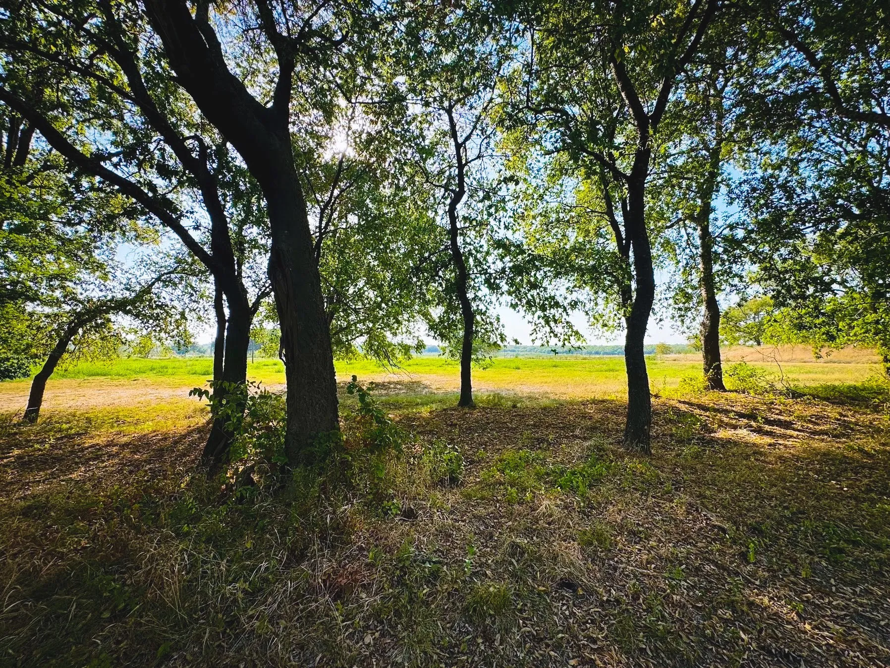 Improved Land For Sale in Collin County , 6100 CR 662, Farmersville, Texas 75442, 0, 0, Garage spaces, 0 Sqft, built in 1997, mls#21371930, Real Estate Agent in Farmersville, Homes For Sale in Collin county, Homes For Sale in Farmersville, Realtor in Farmersville Texas, Real Estate Brokerage Independent Realty Texas, Luminita Cordes Realtor