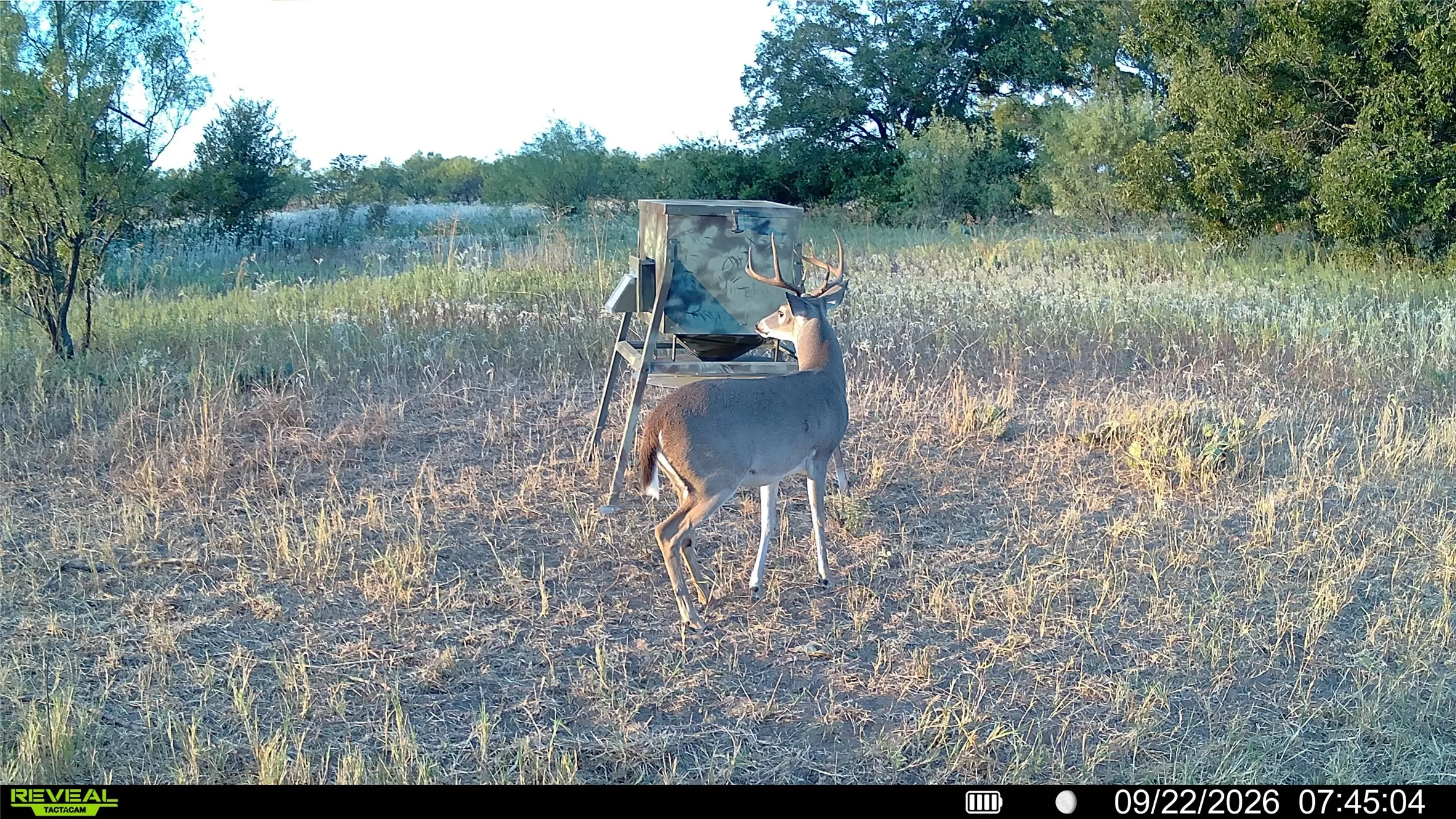Unimproved Land For Sale in Eastland County , TBD 21 County Road 295, Carbon, Texas 76435, 0, 0, Garage spaces, 0 Sqft, built in 0, mls#21372389, Real Estate Agent in Carbon, Homes For Sale in Eastland county, Homes For Sale in Carbon, Realtor in Carbon Texas, Real Estate Brokerage Independent Realty Texas, Luminita Cordes Realtor