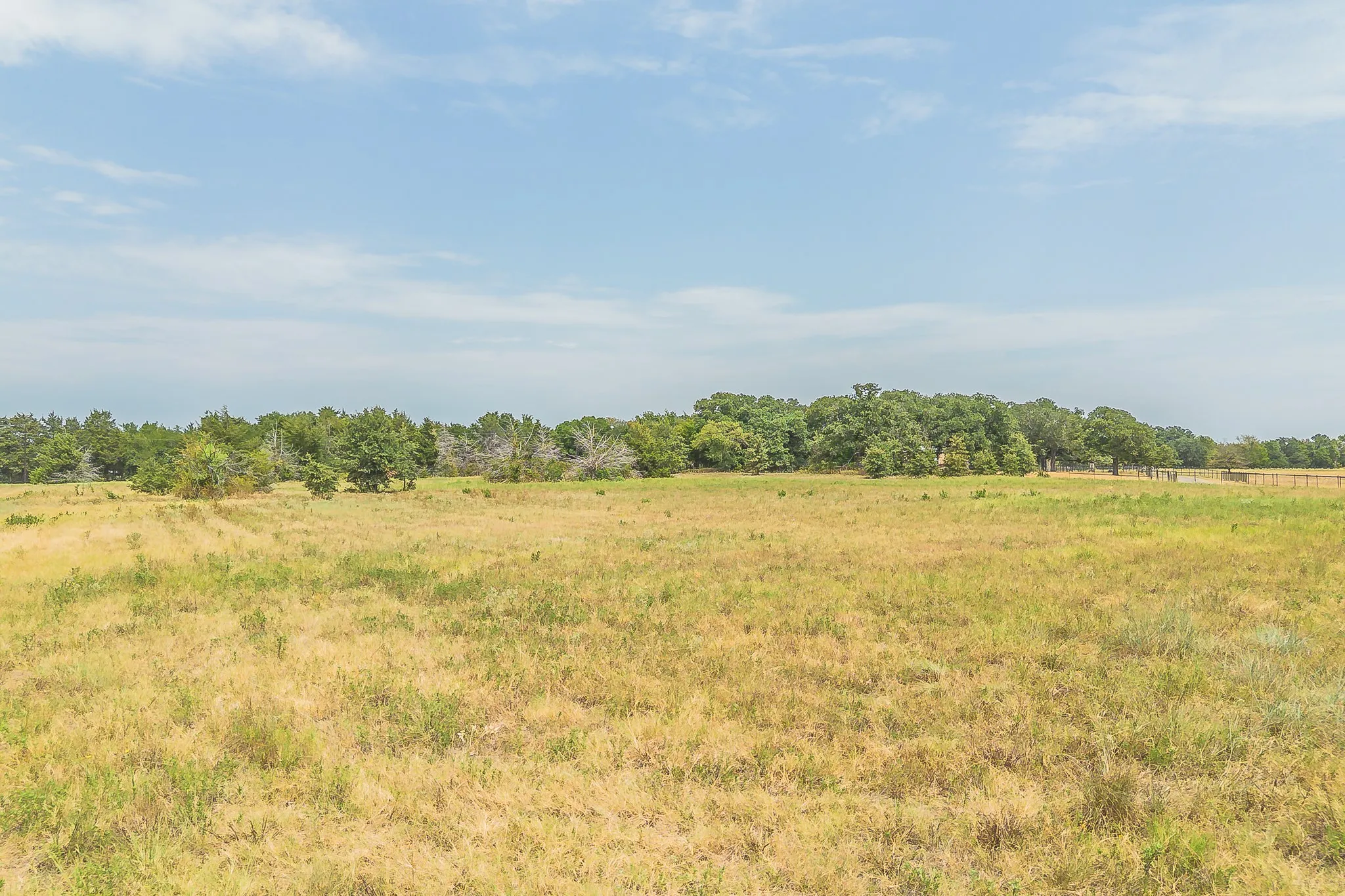 Unimproved Land For Sale in Cooke County , 335 County Road 1264, Whitesboro, Texas 76273, 0, 0, Garage spaces, 0 Sqft, built in 0, mls#21372243, Real Estate Agent in Whitesboro, Homes For Sale in Cooke county, Homes For Sale in Whitesboro, Realtor in Whitesboro Texas, Real Estate Brokerage Independent Realty Texas, Luminita Cordes Realtor
