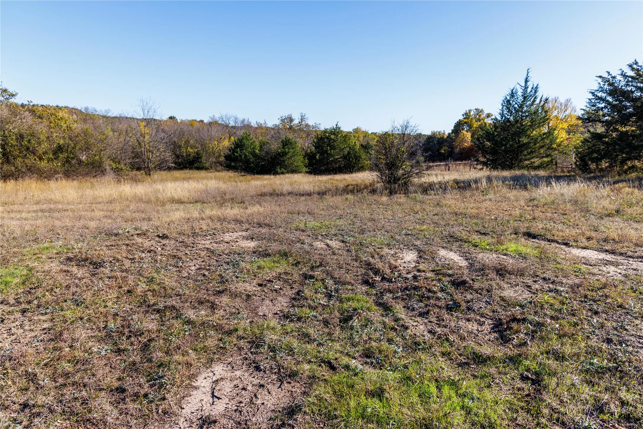 Unimproved Land For Sale in Montague County , Tract 4 Lazy E Rd, St Jo, Texas 76265, 0, 0, Garage spaces, 0 Sqft, built in 0, mls#21371790, Real Estate Agent in St Jo, Homes For Sale in Montague county, Homes For Sale in St Jo, Realtor in St Jo Texas, Real Estate Brokerage Independent Realty Texas, Luminita Cordes Realtor