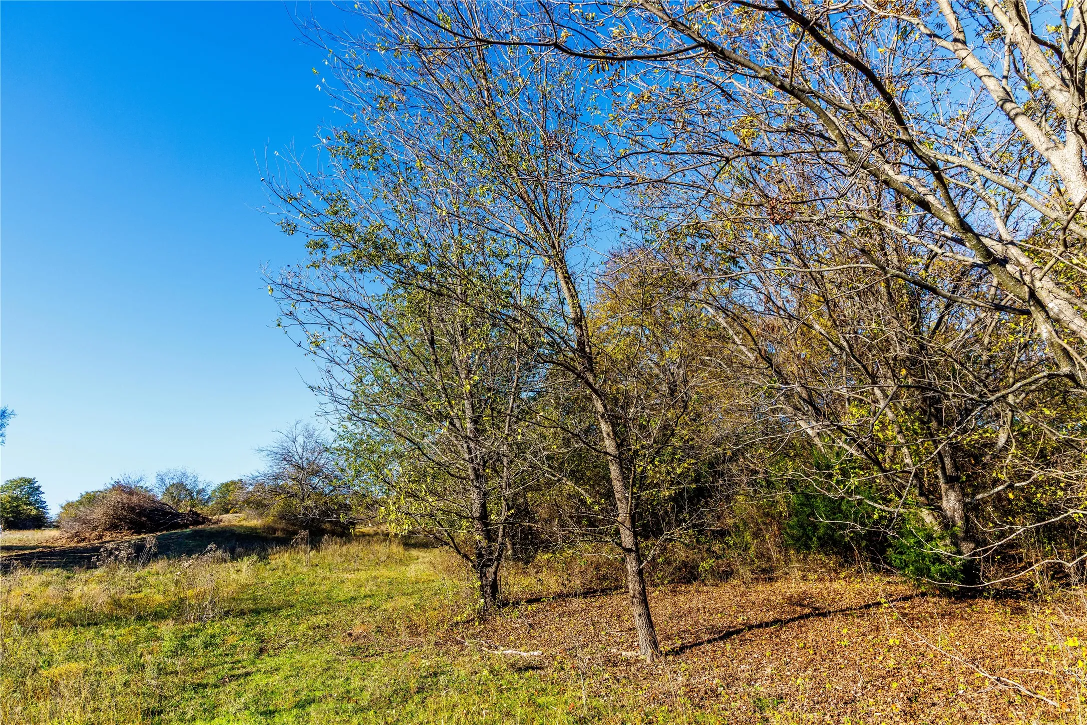 Unimproved Land For Sale in Montague County , Tract 4 Lazy E Rd, St Jo, Texas 76265, 0, 0, Garage spaces, 0 Sqft, built in 0, mls#21371790, Real Estate Agent in St Jo, Homes For Sale in Montague county, Homes For Sale in St Jo, Realtor in St Jo Texas, Real Estate Brokerage Independent Realty Texas, Luminita Cordes Realtor