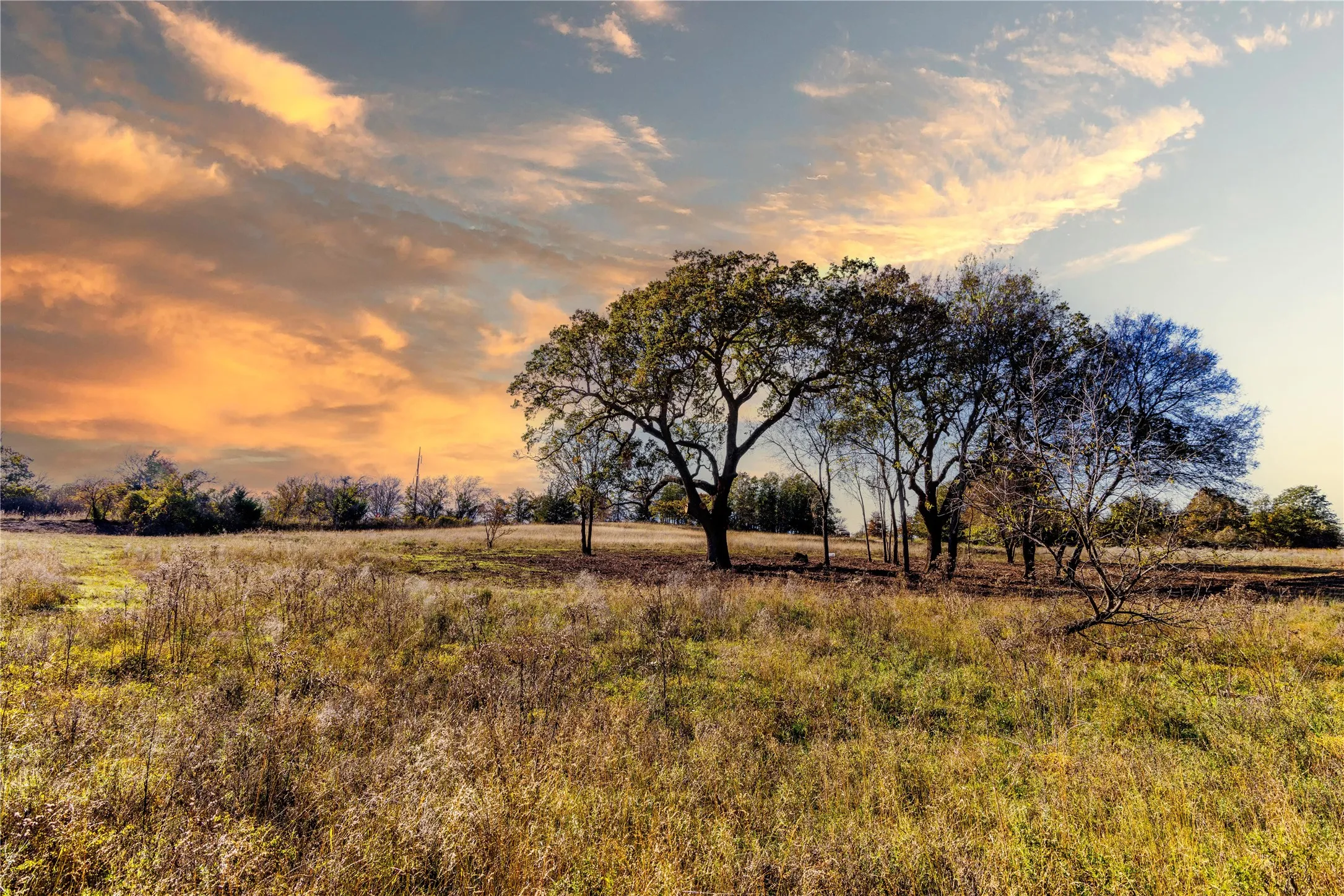 Unimproved Land For Sale in Montague County , Tract 4 Lazy E Rd, St Jo, Texas 76265, 0, 0, Garage spaces, 0 Sqft, built in 0, mls#21371790, Real Estate Agent in St Jo, Homes For Sale in Montague county, Homes For Sale in St Jo, Realtor in St Jo Texas, Real Estate Brokerage Independent Realty Texas, Luminita Cordes Realtor