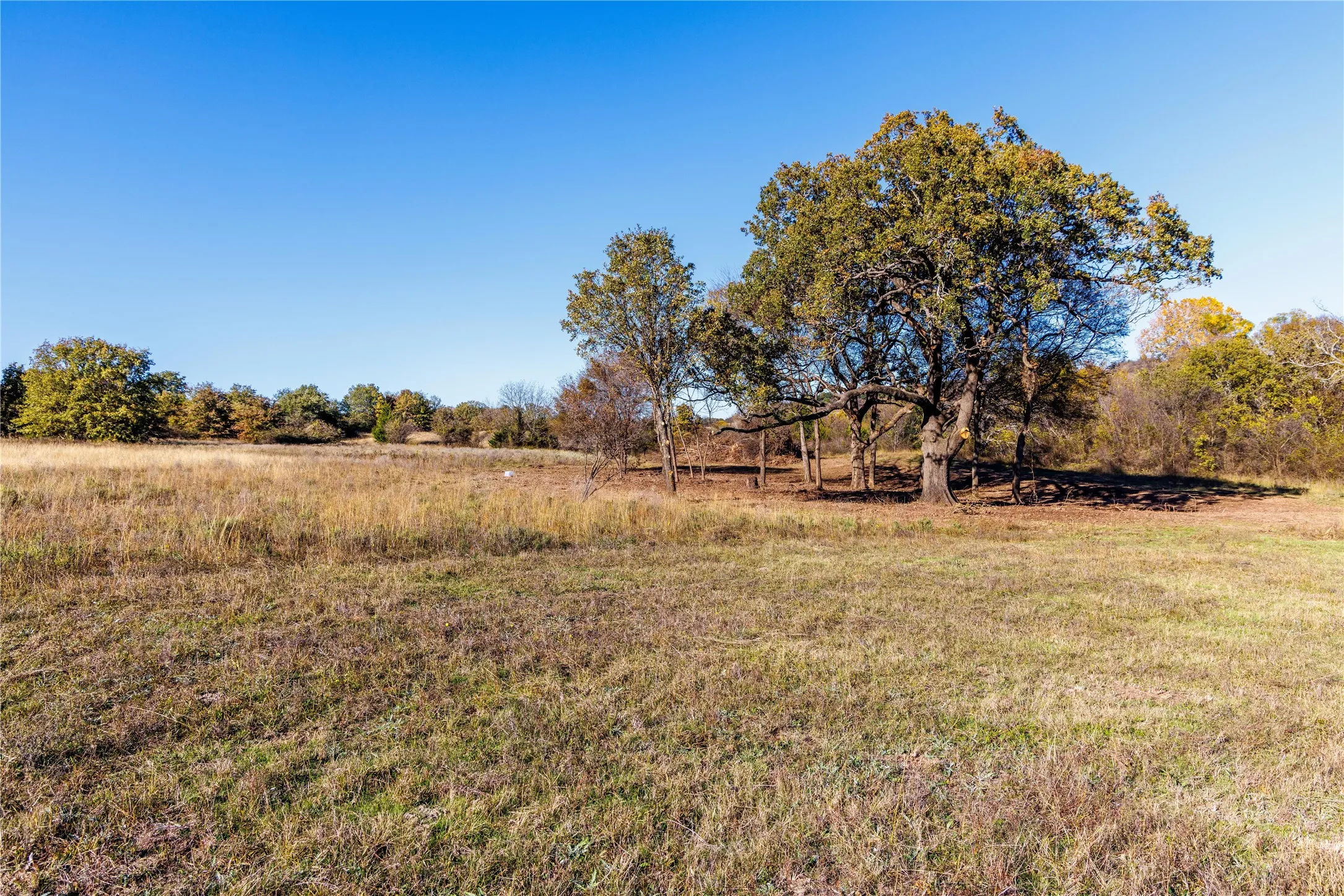 Unimproved Land For Sale in Montague County , Tract 4 Lazy E Rd, St Jo, Texas 76265, 0, 0, Garage spaces, 0 Sqft, built in 0, mls#21371790, Real Estate Agent in St Jo, Homes For Sale in Montague county, Homes For Sale in St Jo, Realtor in St Jo Texas, Real Estate Brokerage Independent Realty Texas, Luminita Cordes Realtor