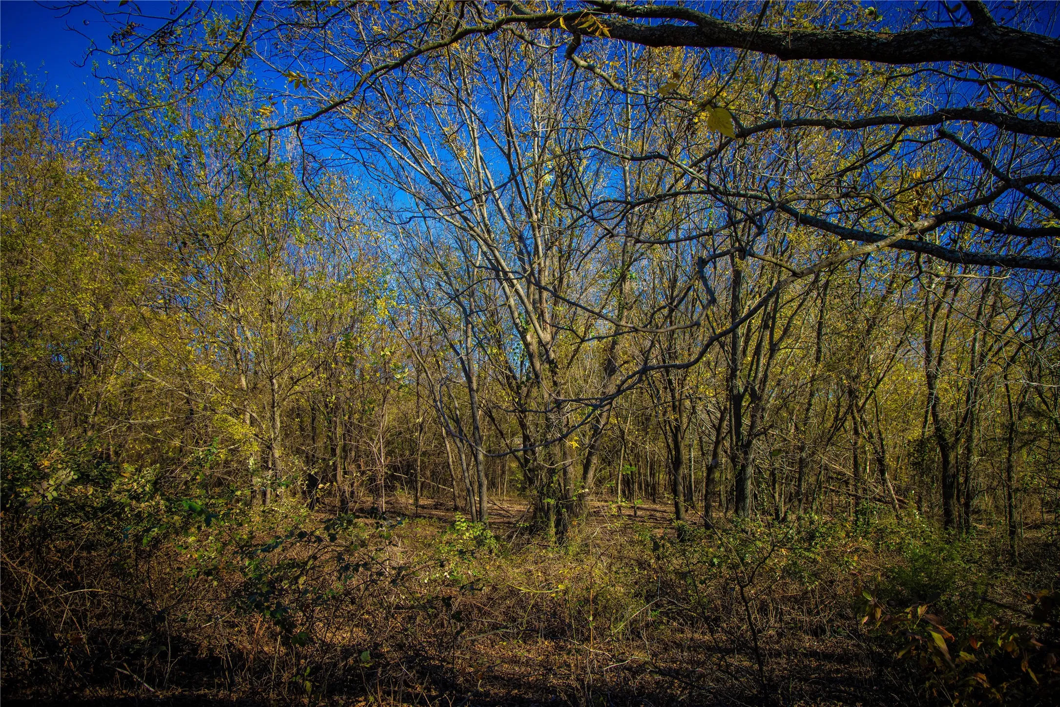 Unimproved Land For Sale in Montague County , Tract 4 Lazy E Rd, St Jo, Texas 76265, 0, 0, Garage spaces, 0 Sqft, built in 0, mls#21371790, Real Estate Agent in St Jo, Homes For Sale in Montague county, Homes For Sale in St Jo, Realtor in St Jo Texas, Real Estate Brokerage Independent Realty Texas, Luminita Cordes Realtor