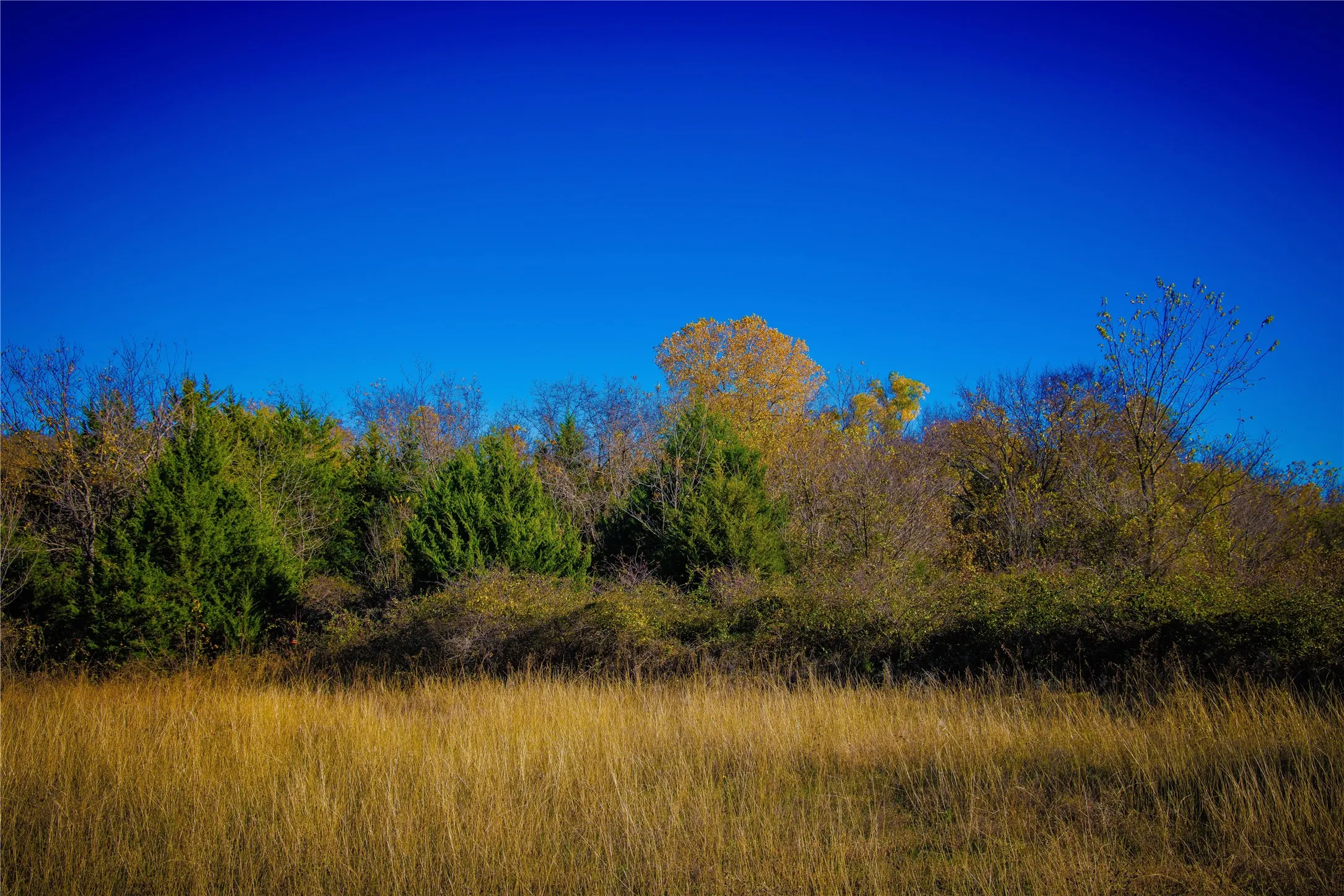 Unimproved Land For Sale in Montague County , Tract 4 Lazy E Rd, St Jo, Texas 76265, 0, 0, Garage spaces, 0 Sqft, built in 0, mls#21371790, Real Estate Agent in St Jo, Homes For Sale in Montague county, Homes For Sale in St Jo, Realtor in St Jo Texas, Real Estate Brokerage Independent Realty Texas, Luminita Cordes Realtor
