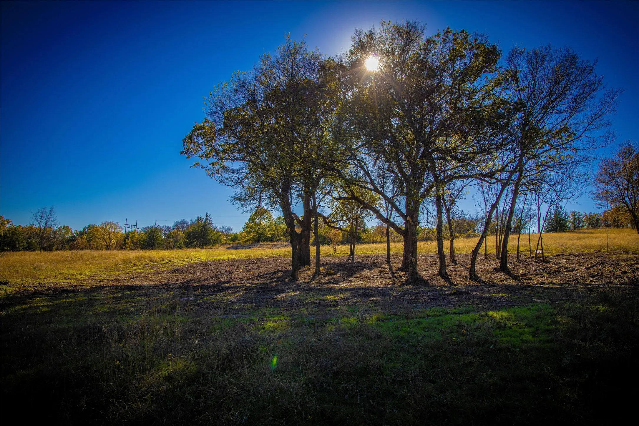 Unimproved Land For Sale in Montague County , Tract 4 Lazy E Rd, St Jo, Texas 76265, 0, 0, Garage spaces, 0 Sqft, built in 0, mls#21371790, Real Estate Agent in St Jo, Homes For Sale in Montague county, Homes For Sale in St Jo, Realtor in St Jo Texas, Real Estate Brokerage Independent Realty Texas, Luminita Cordes Realtor