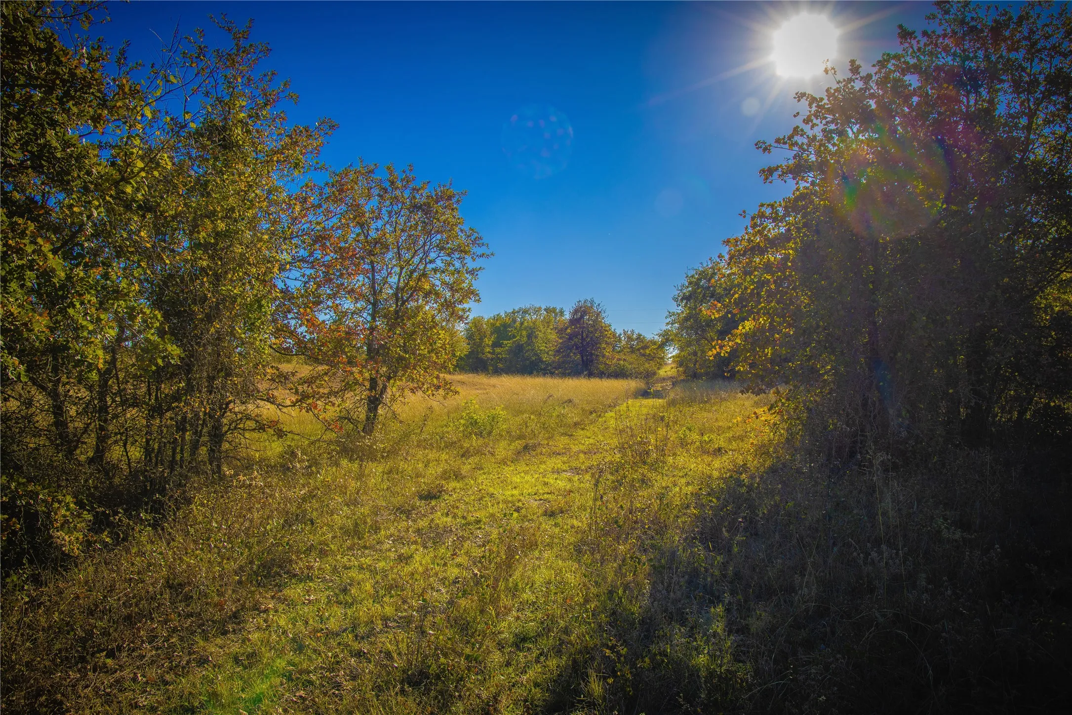 Unimproved Land For Sale in Montague County , Tract 4 Lazy E Rd, St Jo, Texas 76265, 0, 0, Garage spaces, 0 Sqft, built in 0, mls#21371790, Real Estate Agent in St Jo, Homes For Sale in Montague county, Homes For Sale in St Jo, Realtor in St Jo Texas, Real Estate Brokerage Independent Realty Texas, Luminita Cordes Realtor