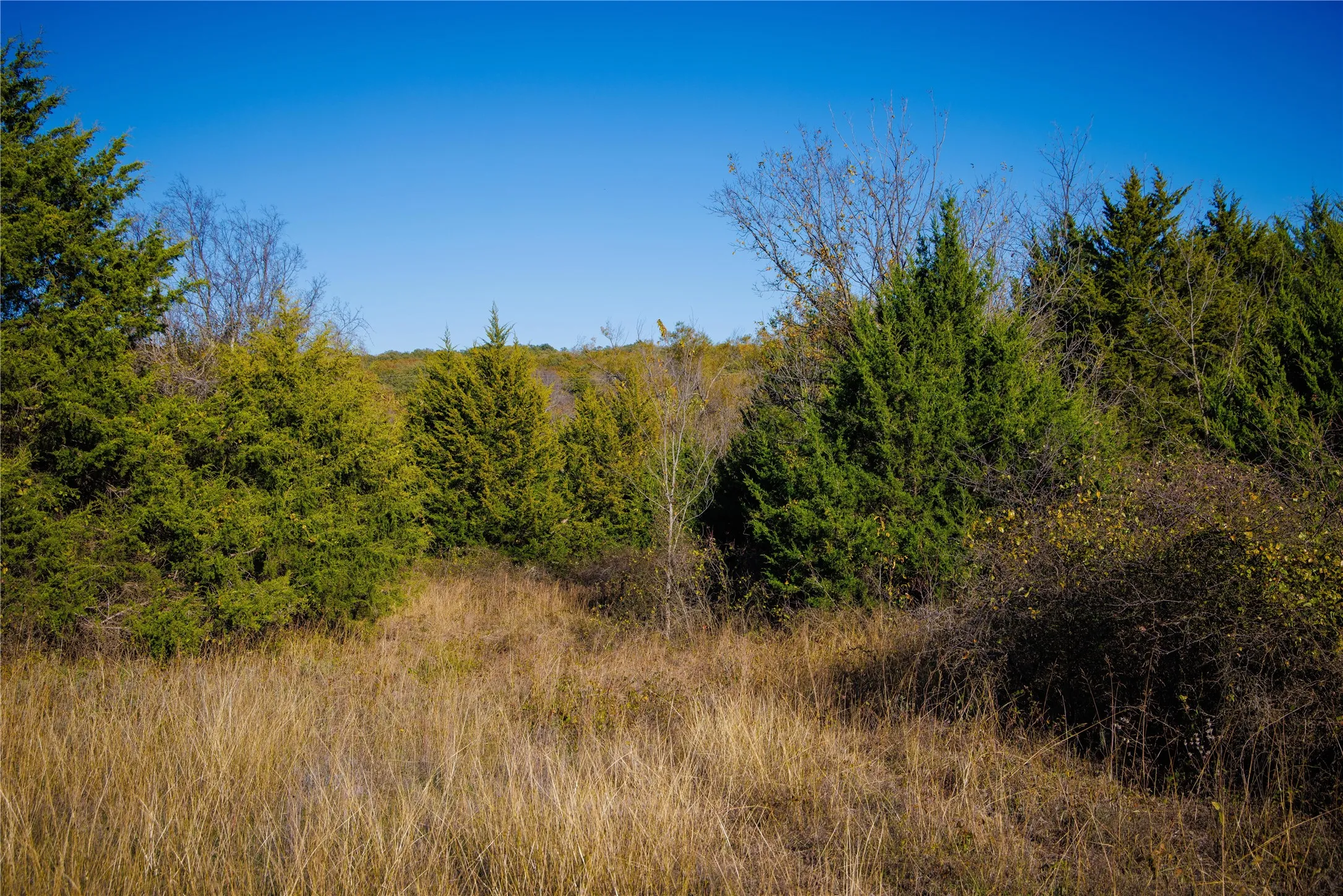 Unimproved Land For Sale in Montague County , Tract 4 Lazy E Rd, St Jo, Texas 76265, 0, 0, Garage spaces, 0 Sqft, built in 0, mls#21371790, Real Estate Agent in St Jo, Homes For Sale in Montague county, Homes For Sale in St Jo, Realtor in St Jo Texas, Real Estate Brokerage Independent Realty Texas, Luminita Cordes Realtor