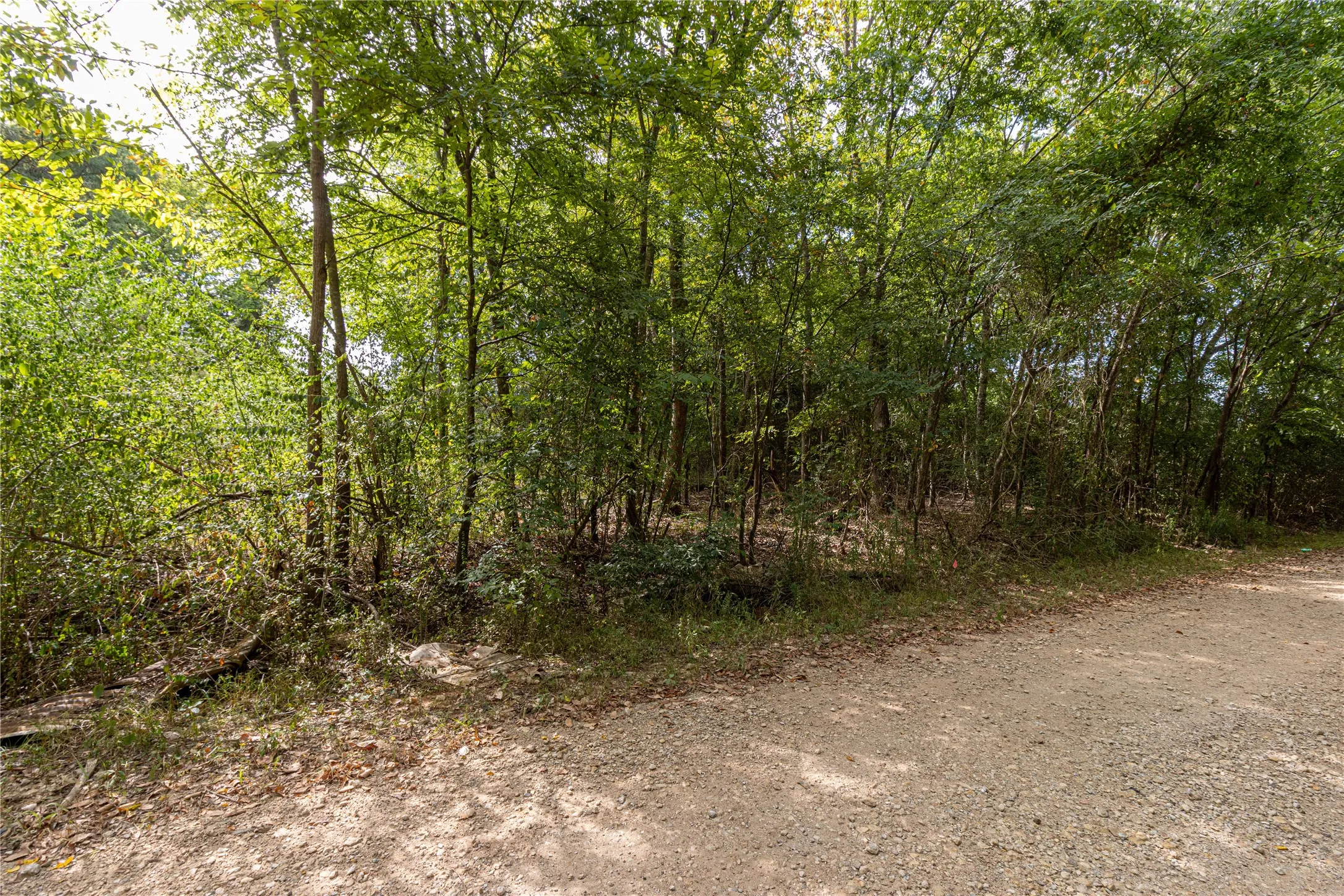 Unimproved Land For Sale in Cherokee County , 185 Hackberry, Bullard, Texas 75757, 0, 0, Garage spaces, 0 Sqft, built in 0, mls#21372408, Real Estate Agent in Bullard, Homes For Sale in Cherokee county, Homes For Sale in Bullard, Realtor in Bullard Texas, Real Estate Brokerage Independent Realty Texas, Luminita Cordes Realtor