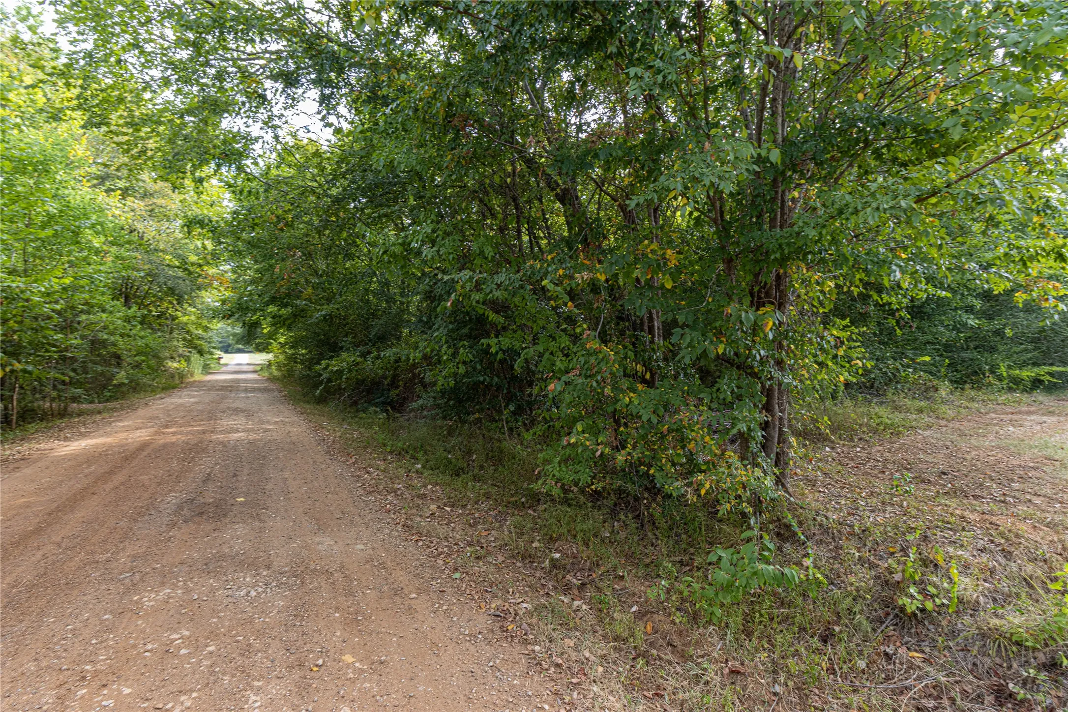 Unimproved Land For Sale in Cherokee County , 185 Hackberry, Bullard, Texas 75757, 0, 0, Garage spaces, 0 Sqft, built in 0, mls#21372408, Real Estate Agent in Bullard, Homes For Sale in Cherokee county, Homes For Sale in Bullard, Realtor in Bullard Texas, Real Estate Brokerage Independent Realty Texas, Luminita Cordes Realtor
