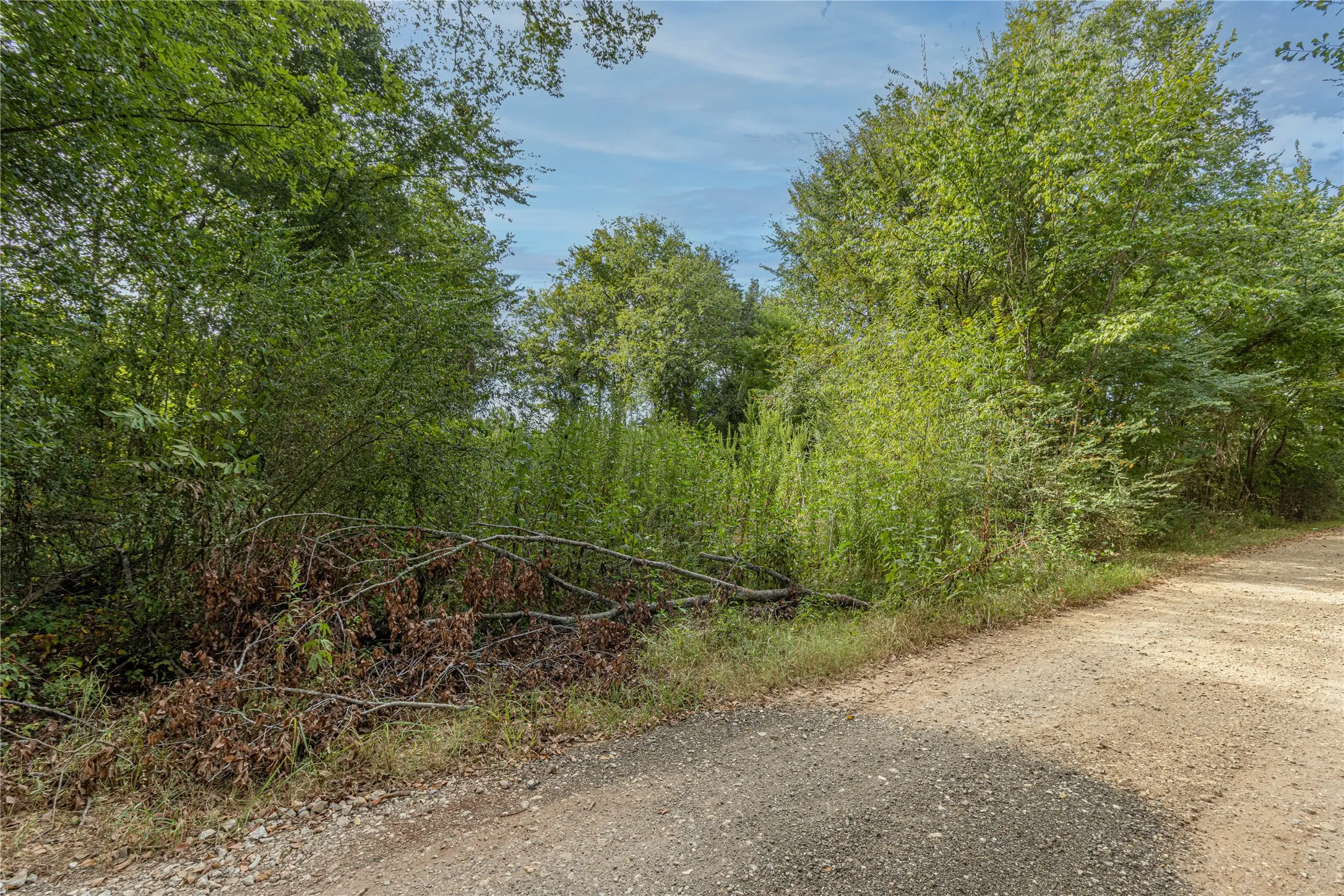 Unimproved Land For Sale in Cherokee County , 185 Hackberry, Bullard, Texas 75757, 0, 0, Garage spaces, 0 Sqft, built in 0, mls#21372408, Real Estate Agent in Bullard, Homes For Sale in Cherokee county, Homes For Sale in Bullard, Realtor in Bullard Texas, Real Estate Brokerage Independent Realty Texas, Luminita Cordes Realtor