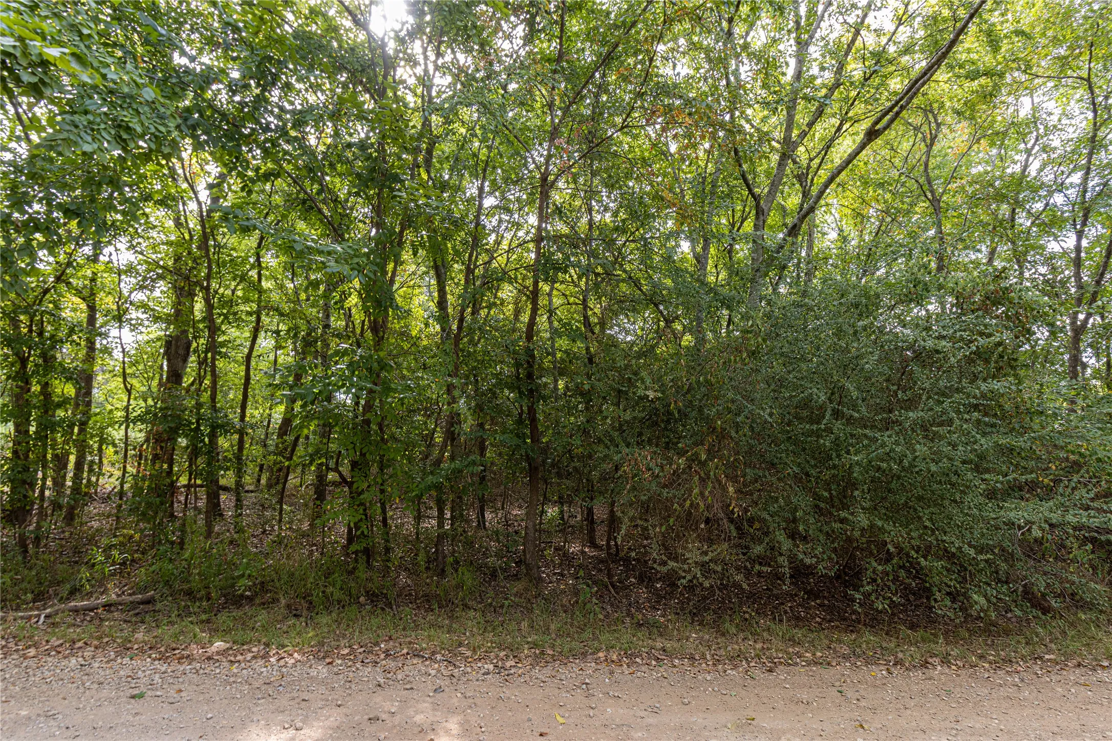 Unimproved Land For Sale in Cherokee County , 185 Hackberry, Bullard, Texas 75757, 0, 0, Garage spaces, 0 Sqft, built in 0, mls#21372408, Real Estate Agent in Bullard, Homes For Sale in Cherokee county, Homes For Sale in Bullard, Realtor in Bullard Texas, Real Estate Brokerage Independent Realty Texas, Luminita Cordes Realtor