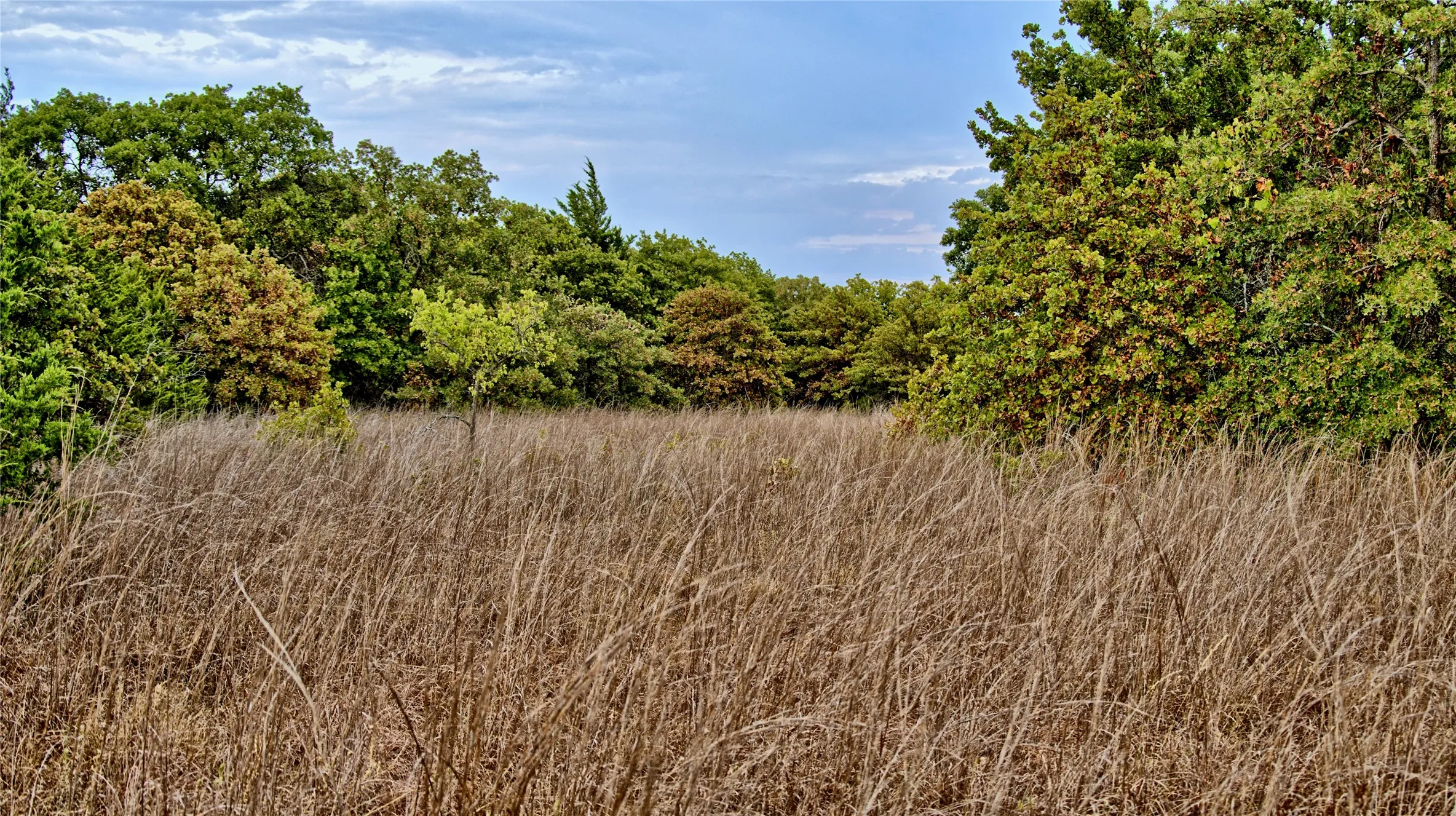 Unimproved Land For Sale in Montague County , TBD Dixie School Road, Nocona, Texas 76255, 0, 0, Garage spaces, 0 Sqft, built in 0, mls#21371662, Real Estate Agent in Nocona, Homes For Sale in Montague county, Homes For Sale in Nocona, Realtor in Nocona Texas, Real Estate Brokerage Independent Realty Texas, Luminita Cordes Realtor
