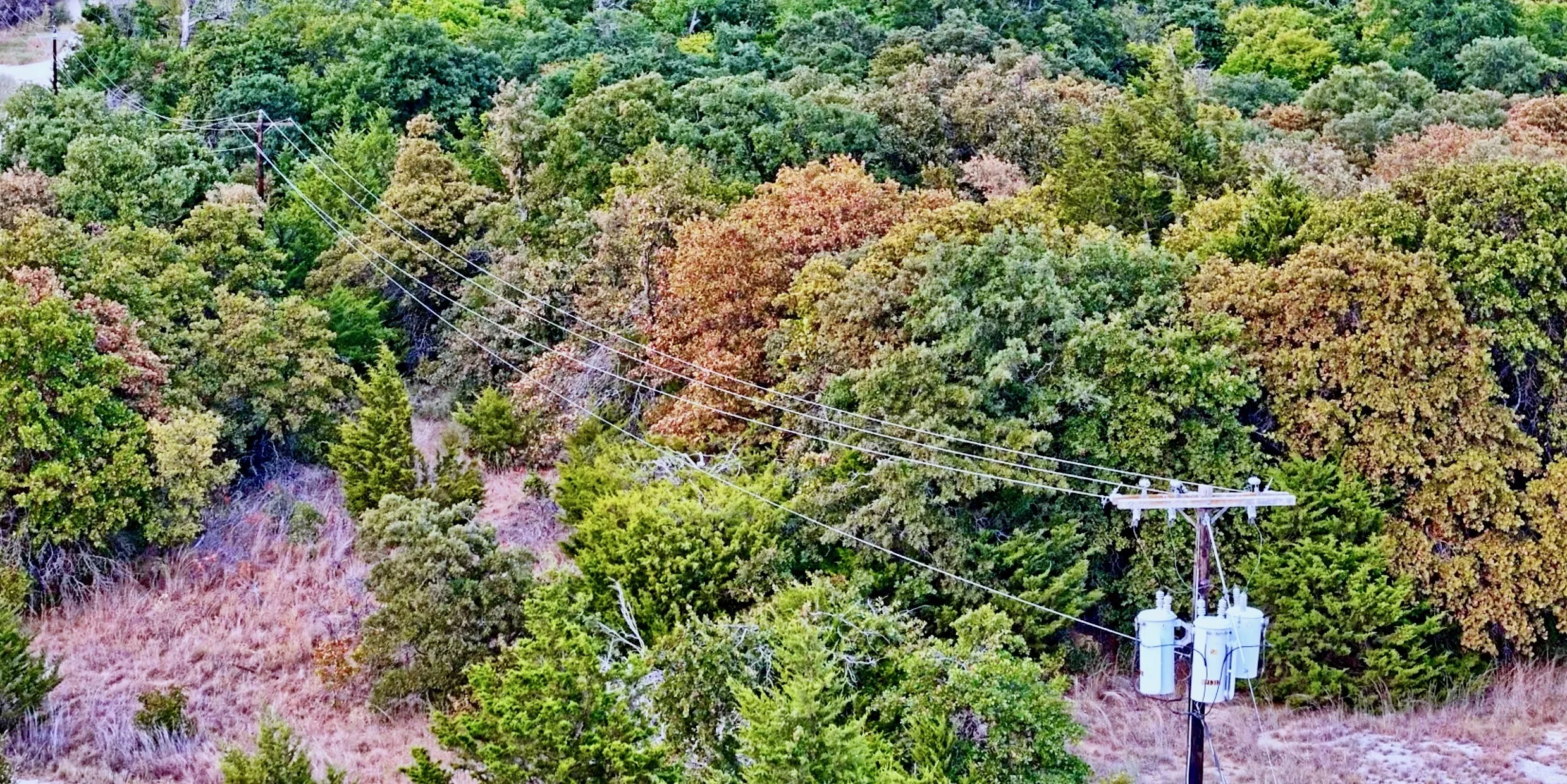 Unimproved Land For Sale in Montague County , TBD Dixie School Road, Nocona, Texas 76255, 0, 0, Garage spaces, 0 Sqft, built in 0, mls#21371662, Real Estate Agent in Nocona, Homes For Sale in Montague county, Homes For Sale in Nocona, Realtor in Nocona Texas, Real Estate Brokerage Independent Realty Texas, Luminita Cordes Realtor